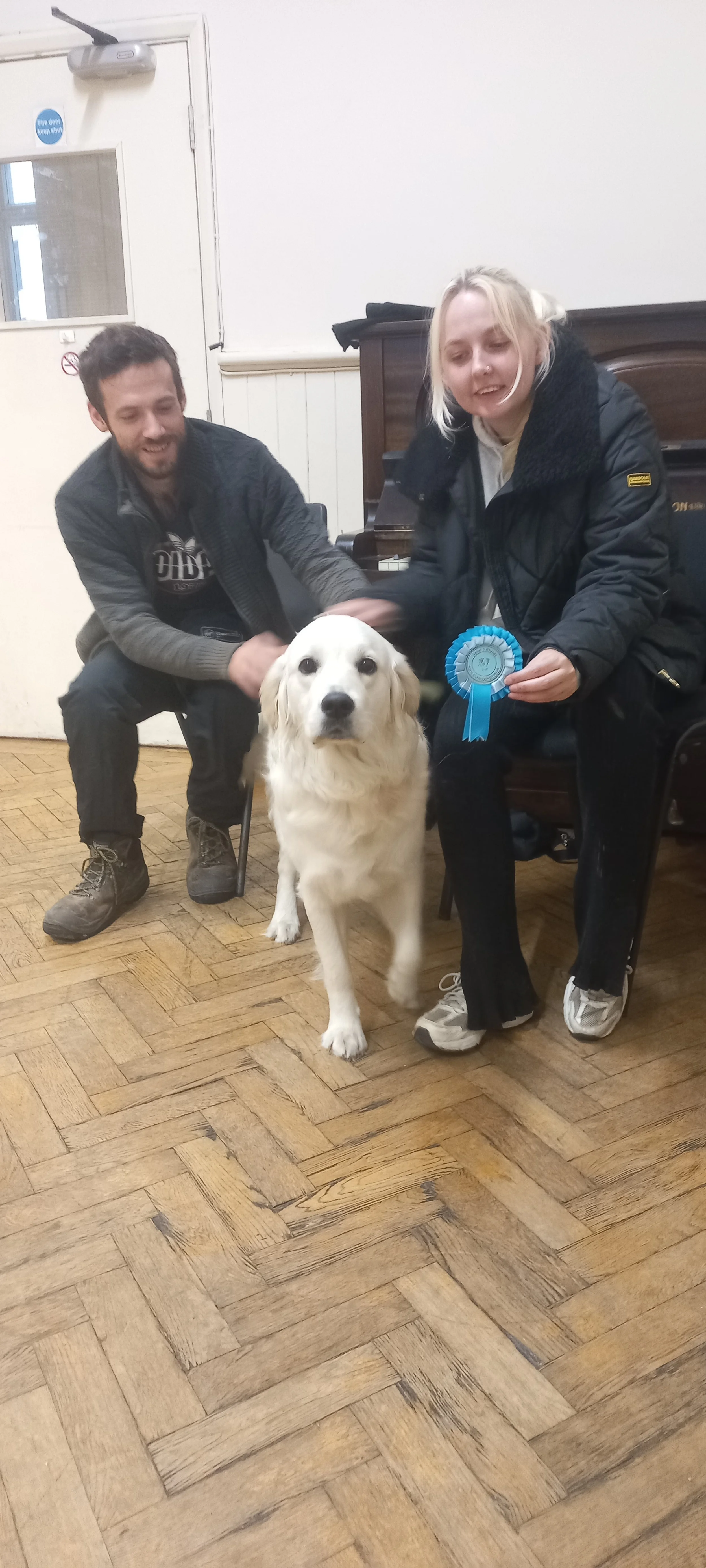 A woman holding a blue rosette, sitting next to a golden retriever, with a man next to them, on a wooden floor in a room with a piano and a door.