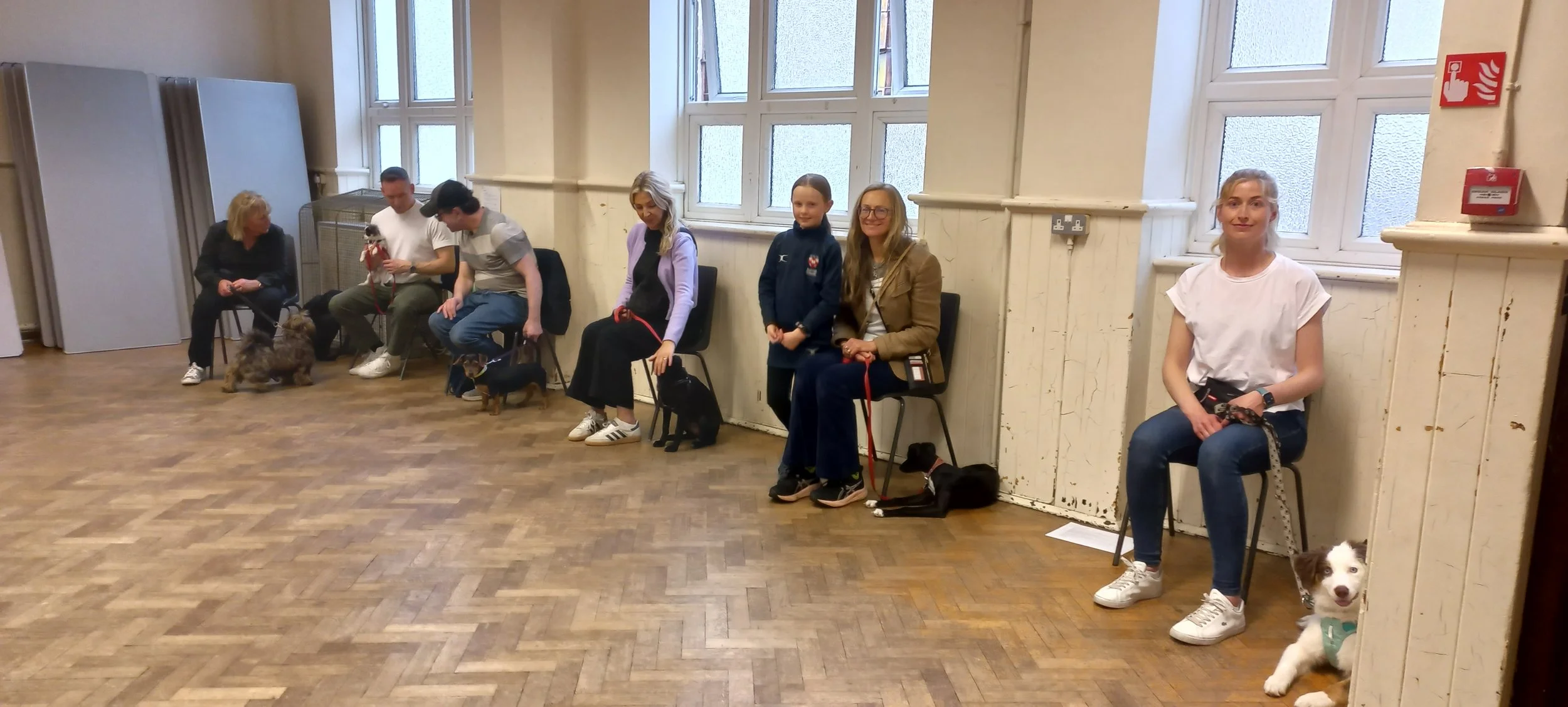 A group of eight people, mostly young women, sitting on chairs against a wall with large windows, holding or sitting next to small dogs of various breeds during an indoor dog training or adoption event. The setting appears to be a community center or similar venue.