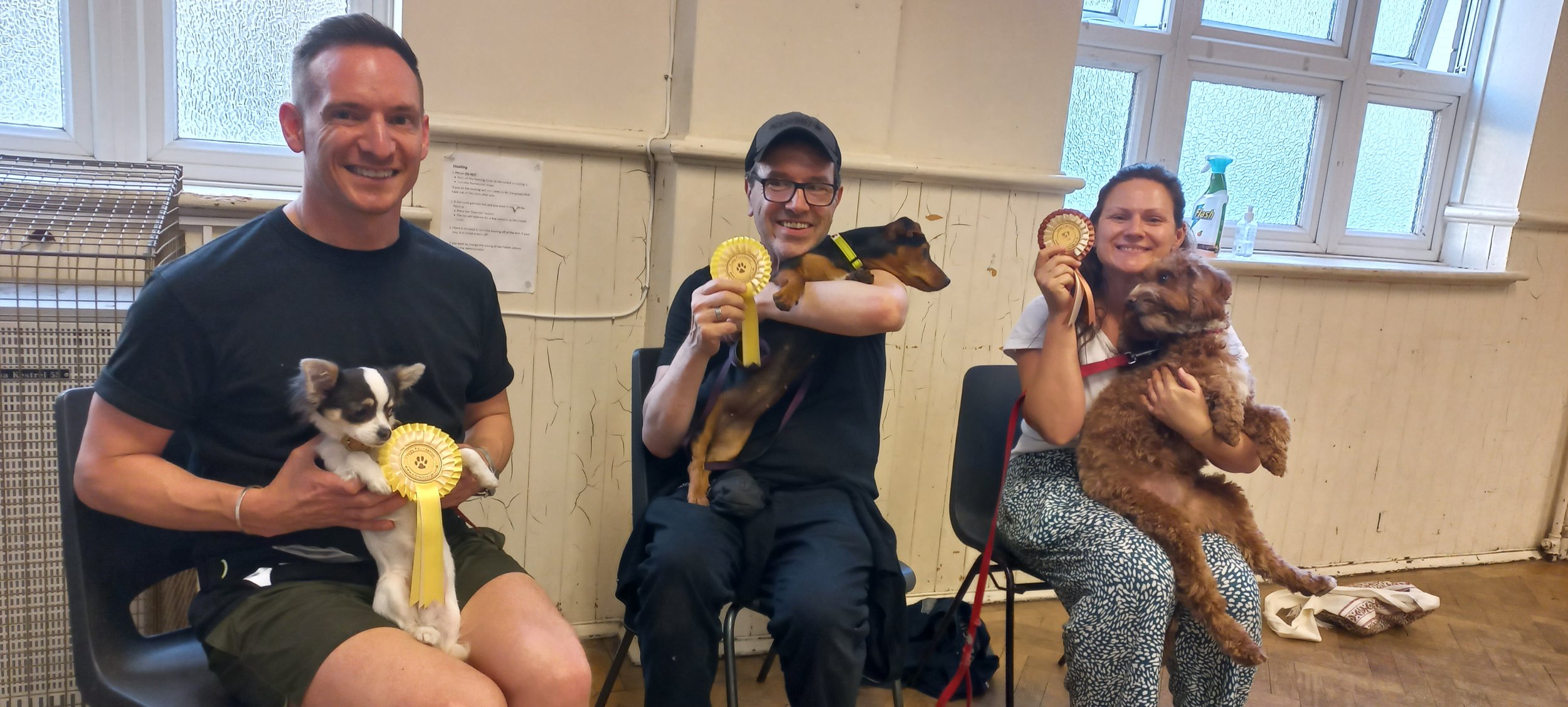 Three people sitting on chairs holding small dogs and puppy yellow rosette awards, smiling; an indoor setting with a window in the background.