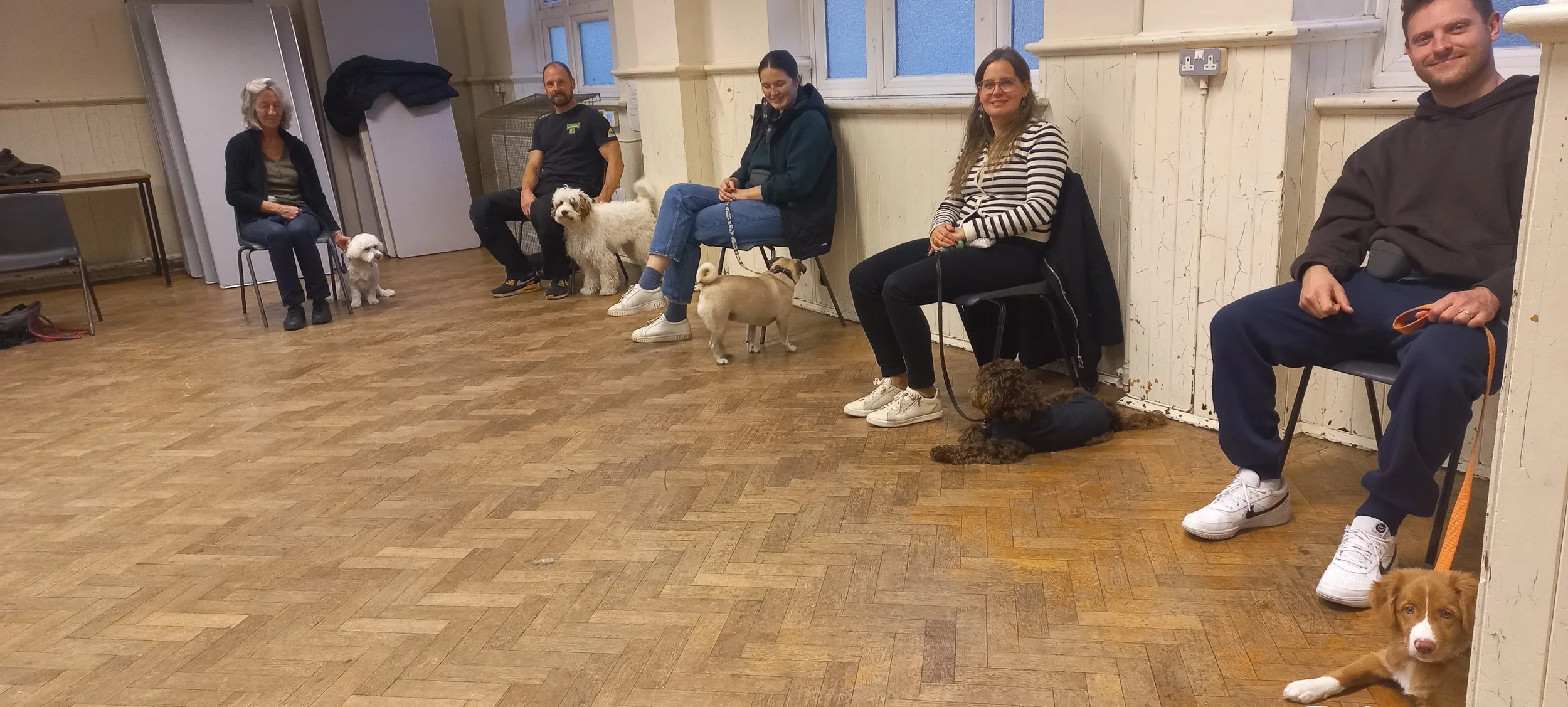 People sitting on chairs with dogs on leashes inside the hall with wooden flooring and beige walls.