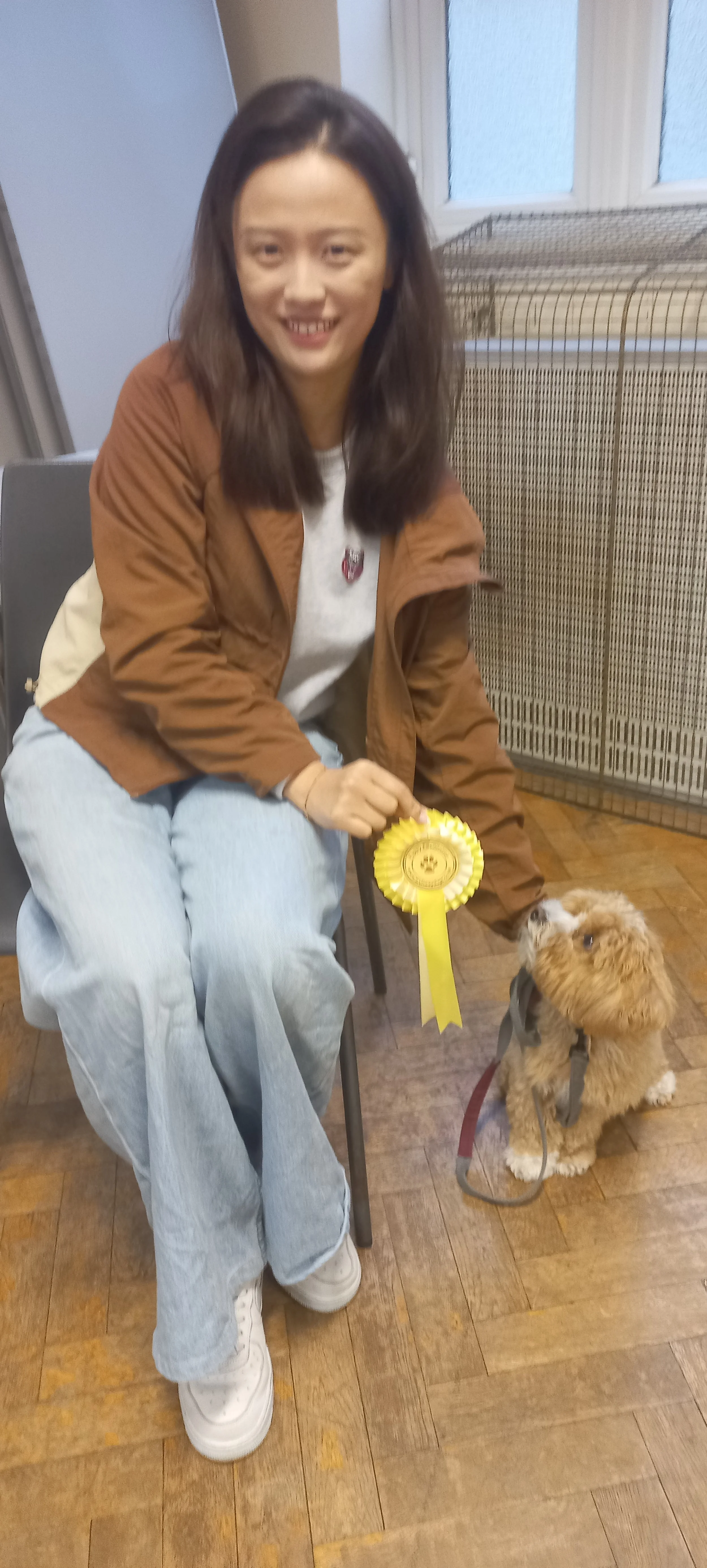 A woman sitting on a chair holding a yellow rosette award, looking at a small fluffy dog sitting on the wooden floor next to her.