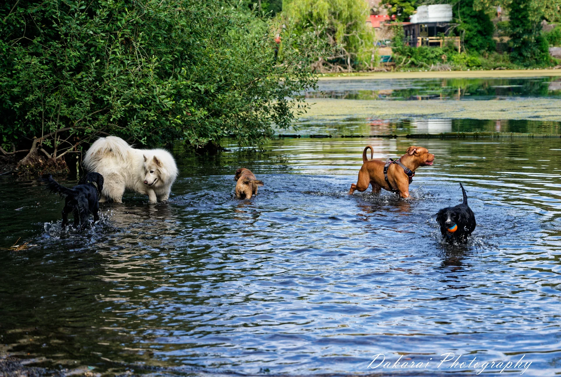 Pack in water Heath 2026 (1).webp