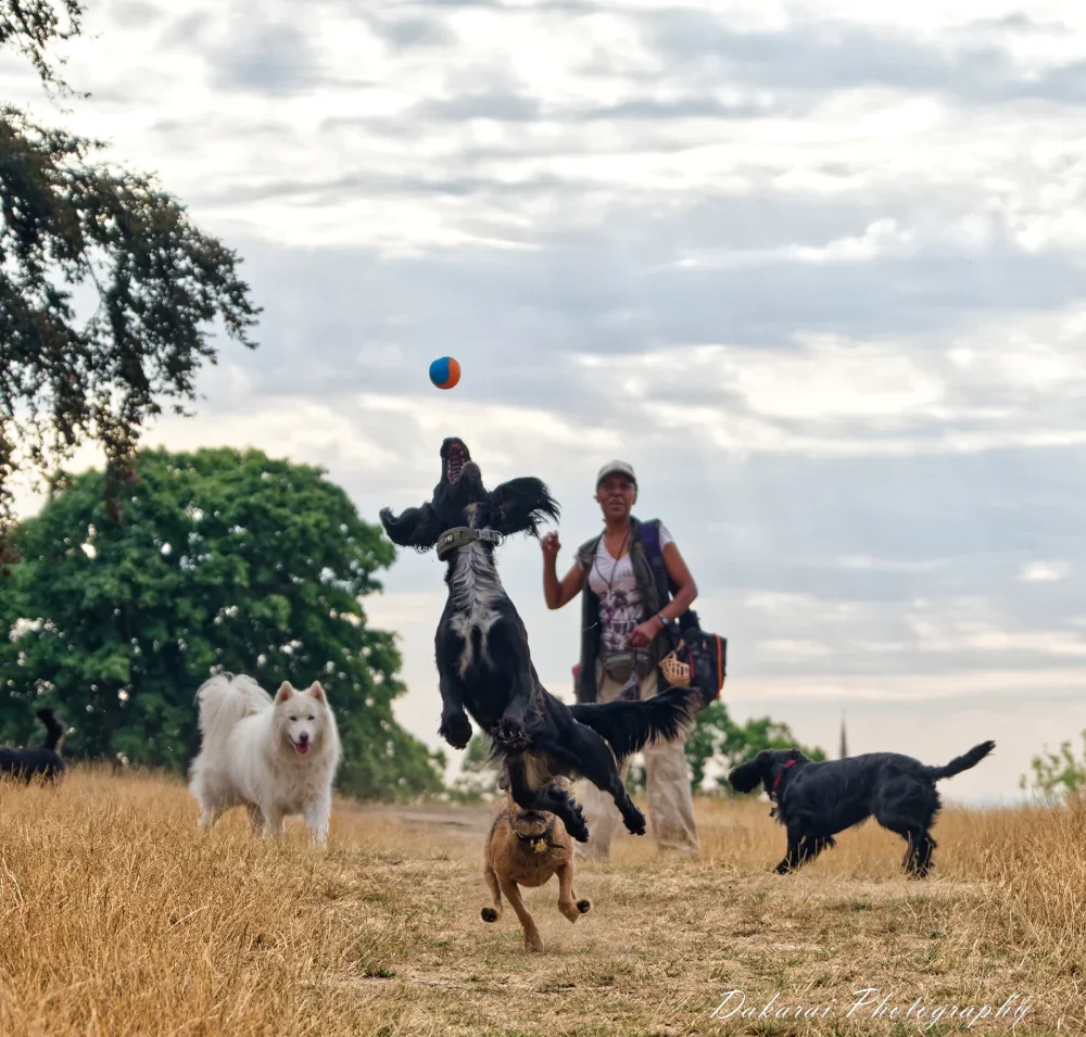 Clovis Jumping Ball Heath 2026 (2).webp