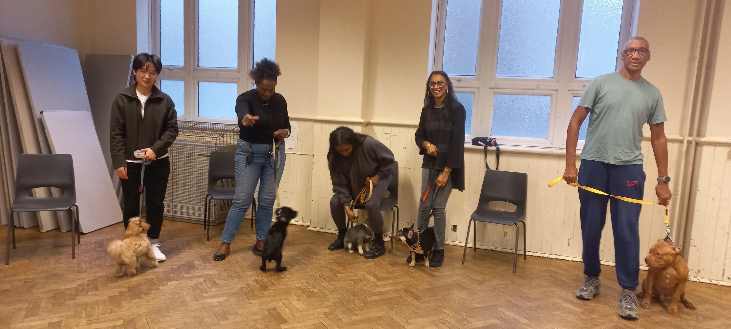 Five people standing and sitting in the training hall with their dogs, some looking at their dogs, in front of frosted windows. The room has chairs, stacked tables, and wooden flooring.