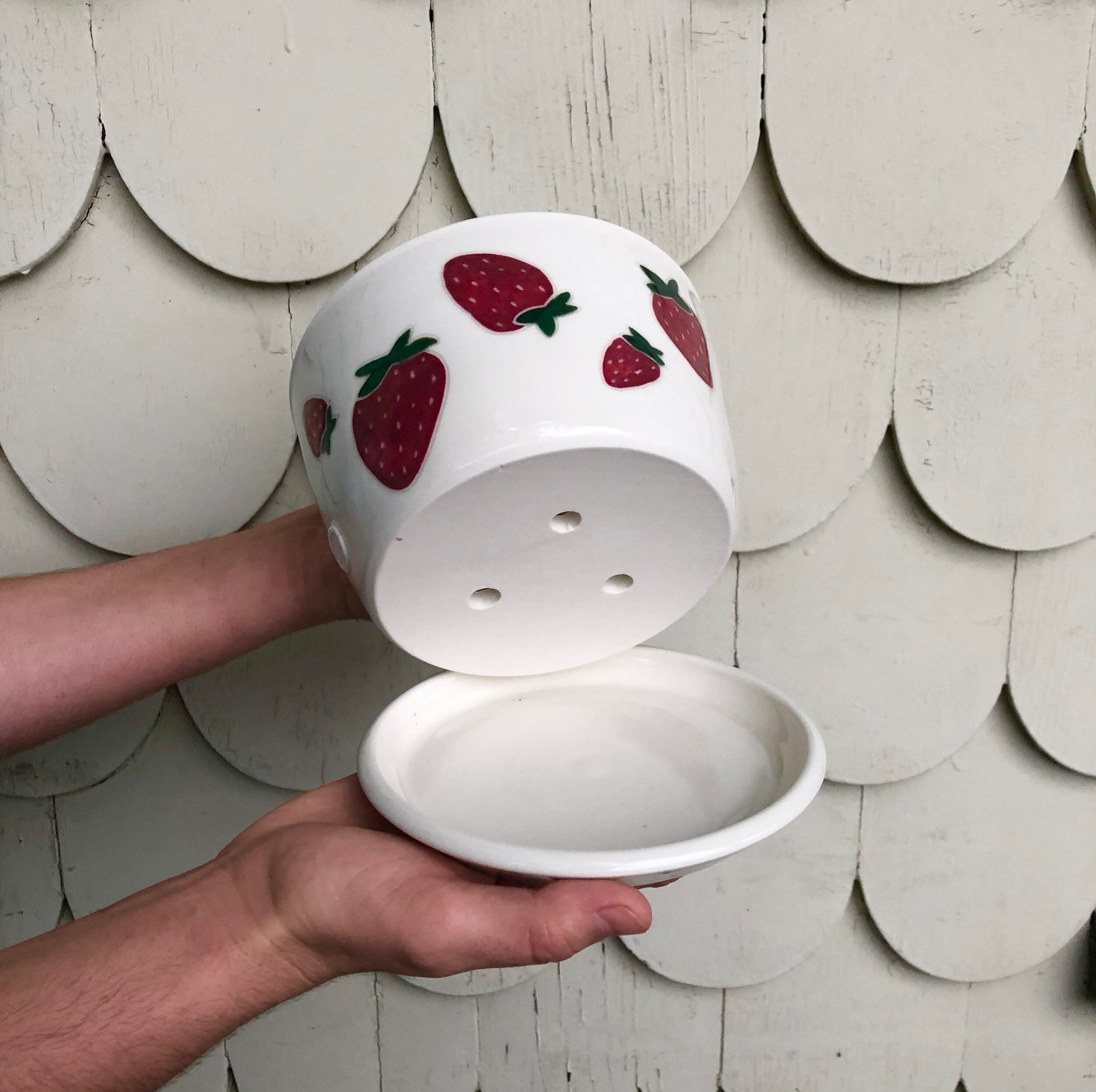 Strawberry Planter