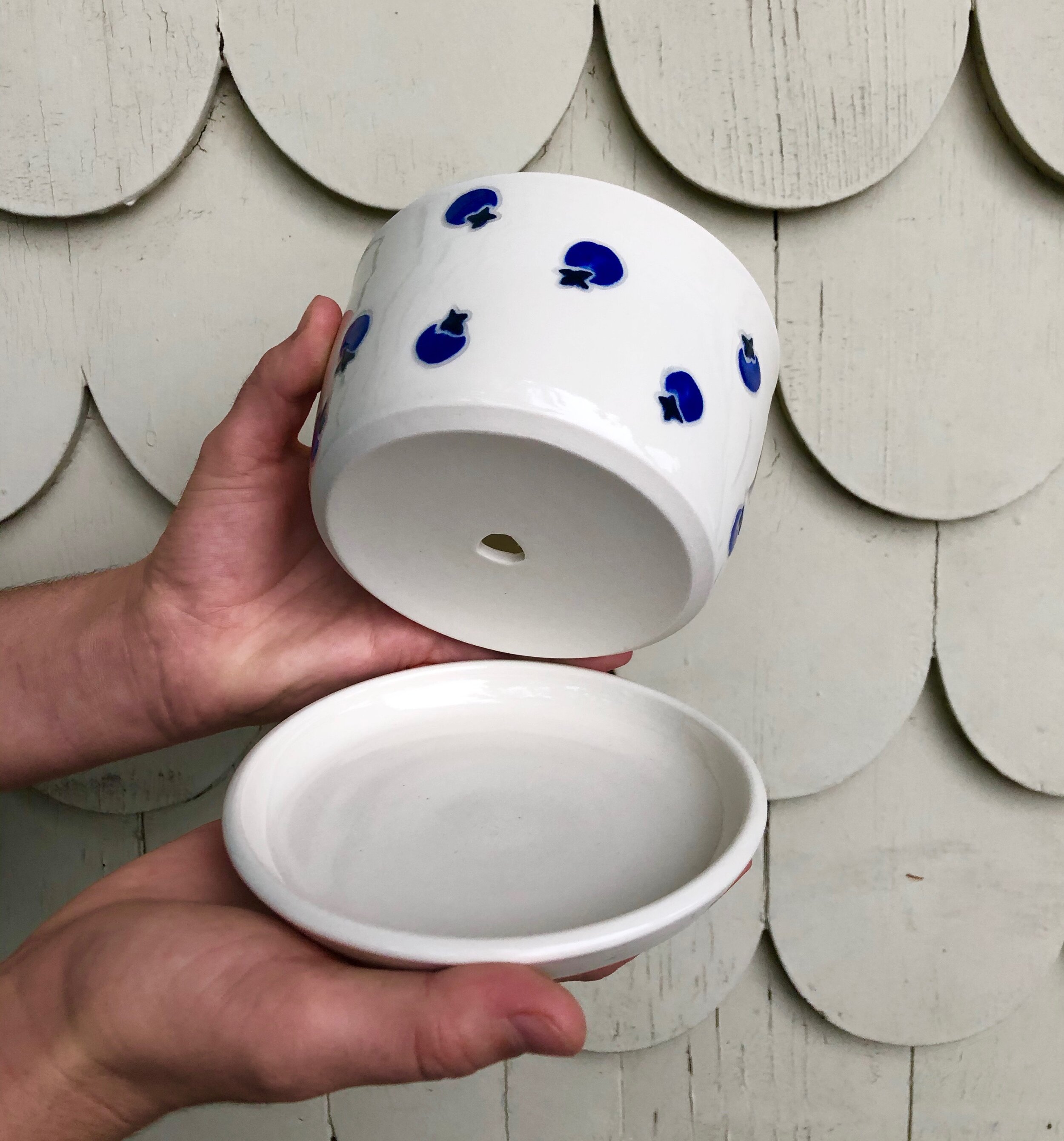 Blueberry Planter
