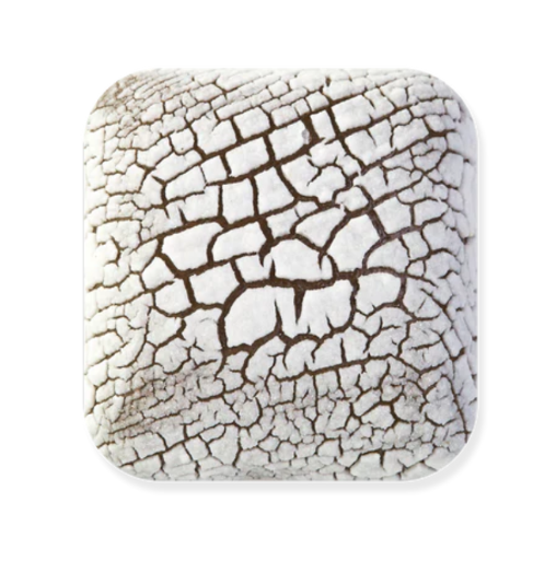 Screenshot 2026-04-12 8.48.38 PM.png