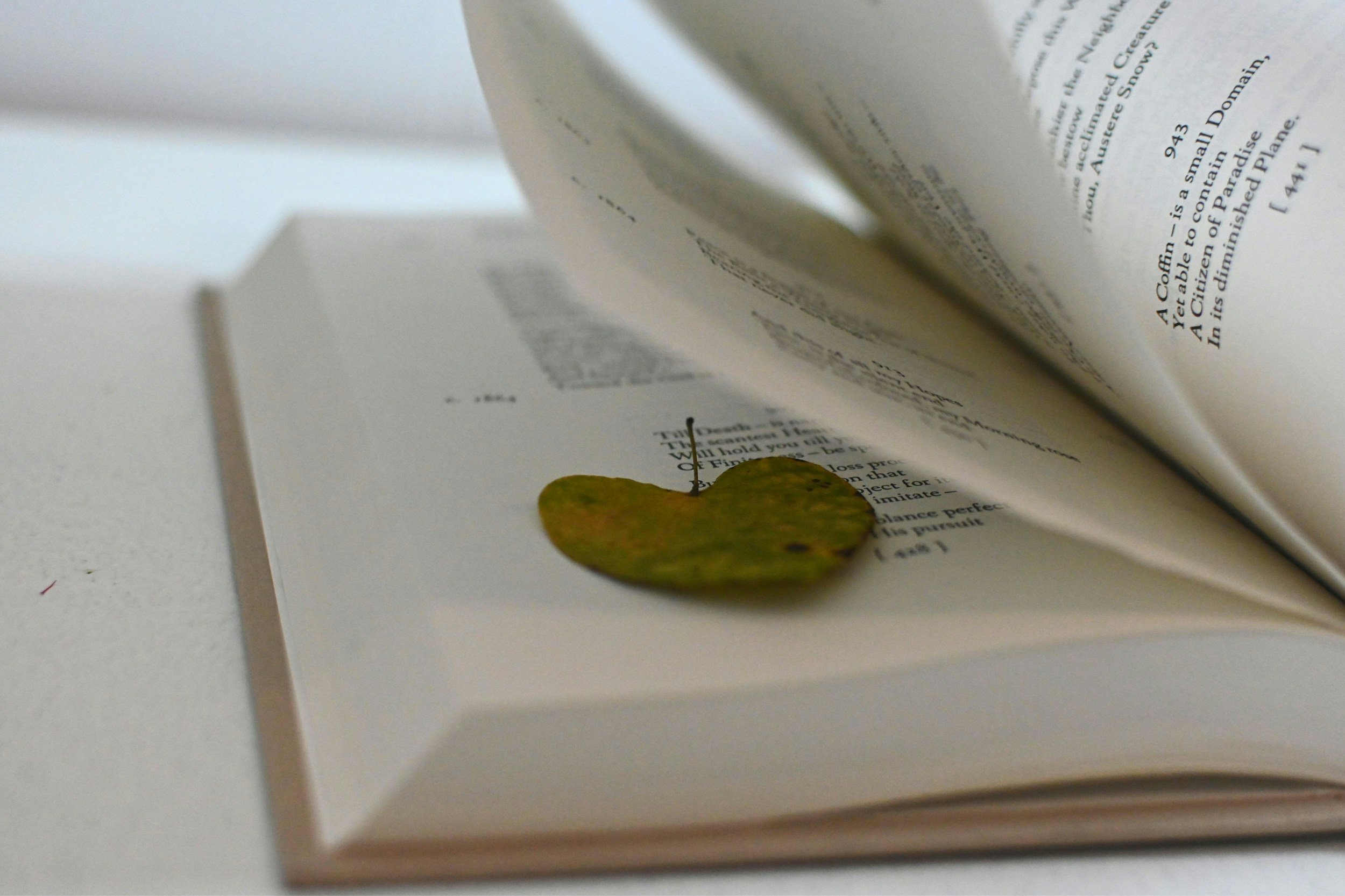 For the Love of Literature