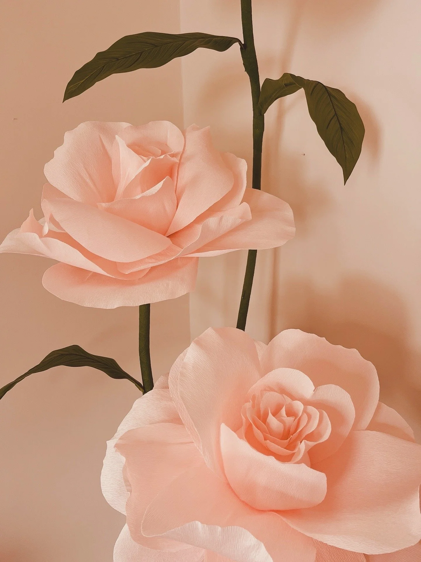 image0 (6).jpeg
