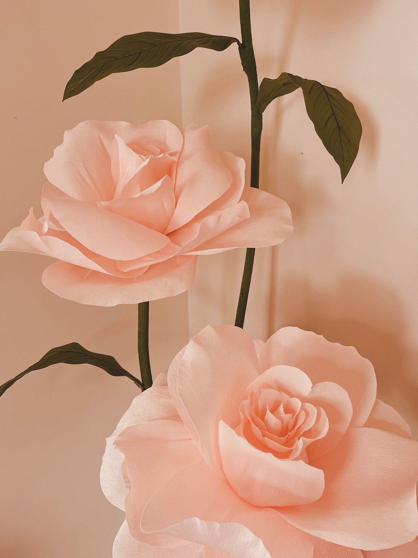 image0 (6).jpeg