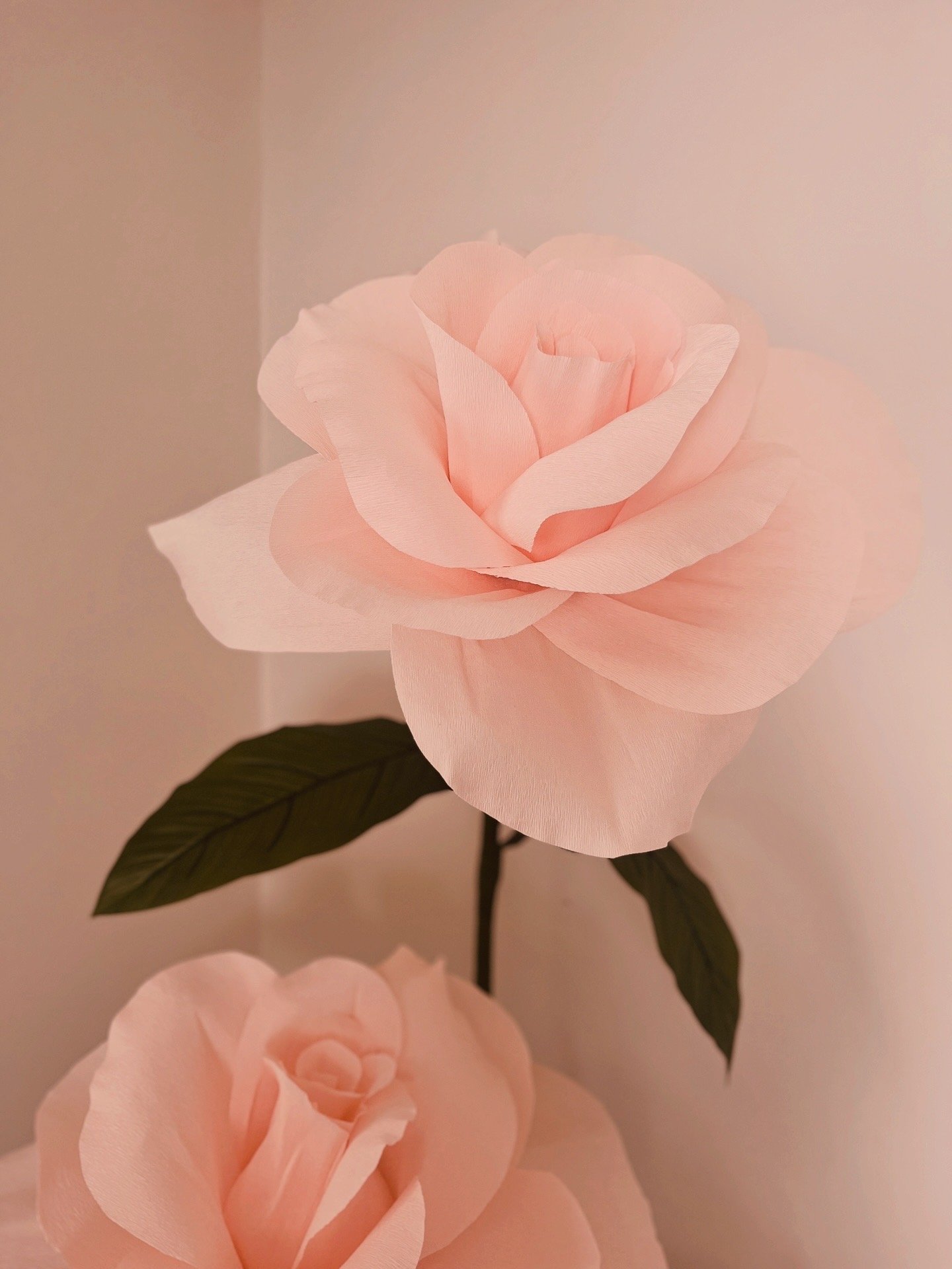 image3 (1).jpeg
