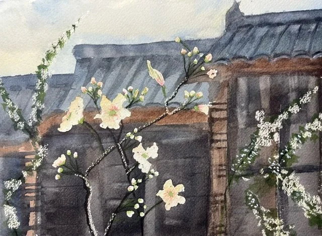 image1 (6).jpeg