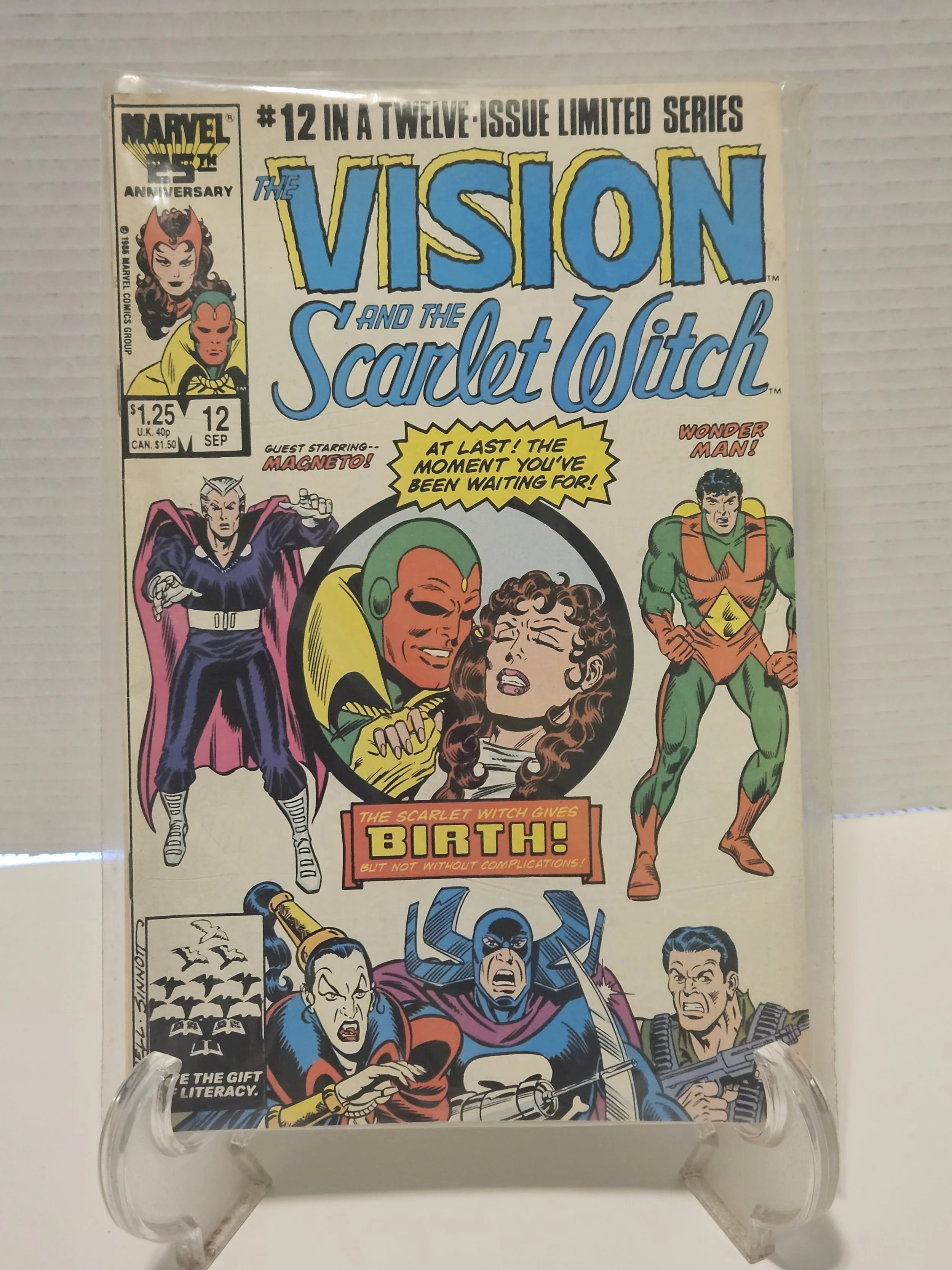 The Vision and The Scarlet Witch #12 — JR Comic Consignment
