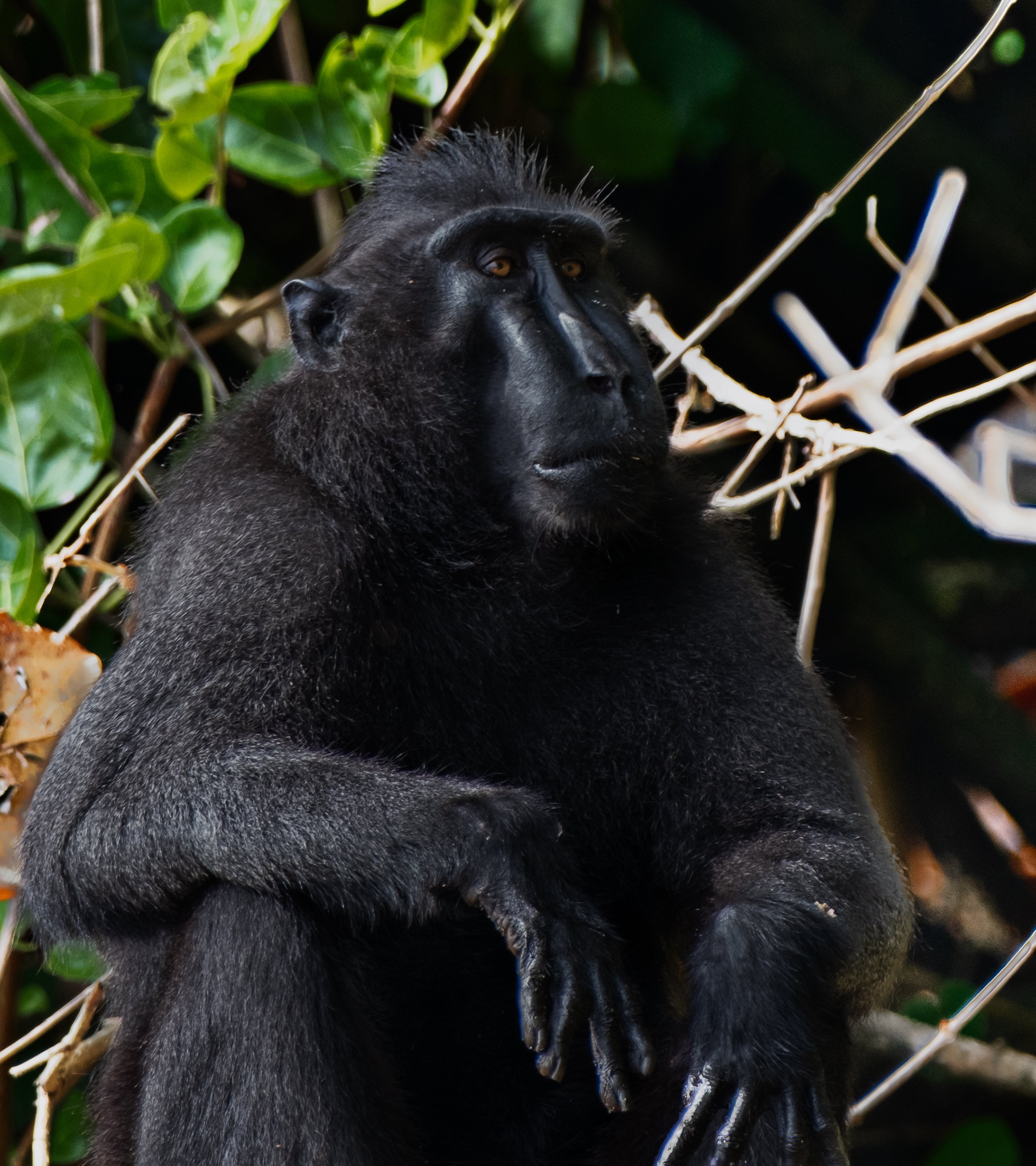 DSCF4415-1.jpg