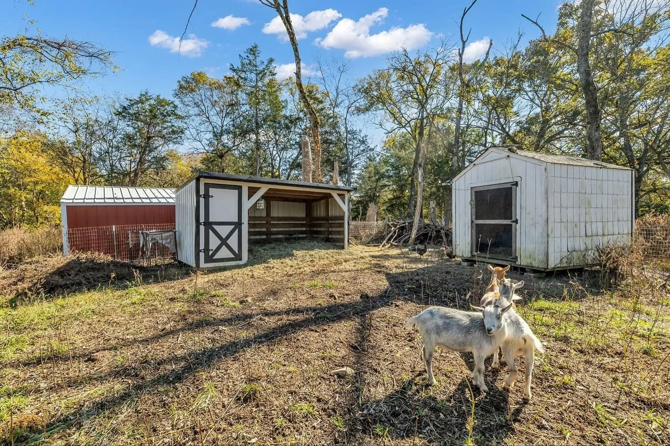 ⭐️ JUST LISTED | HOBBY FARM ⭐️ 

3 BD | 3.5 BA | 2258 SF | 6.700 ACRES

All-brick beauty on nearly 7 private acres with your own creek&mdash;the perfect blend of privacy and community! This thoughtfully updated home features granite countertops, mode