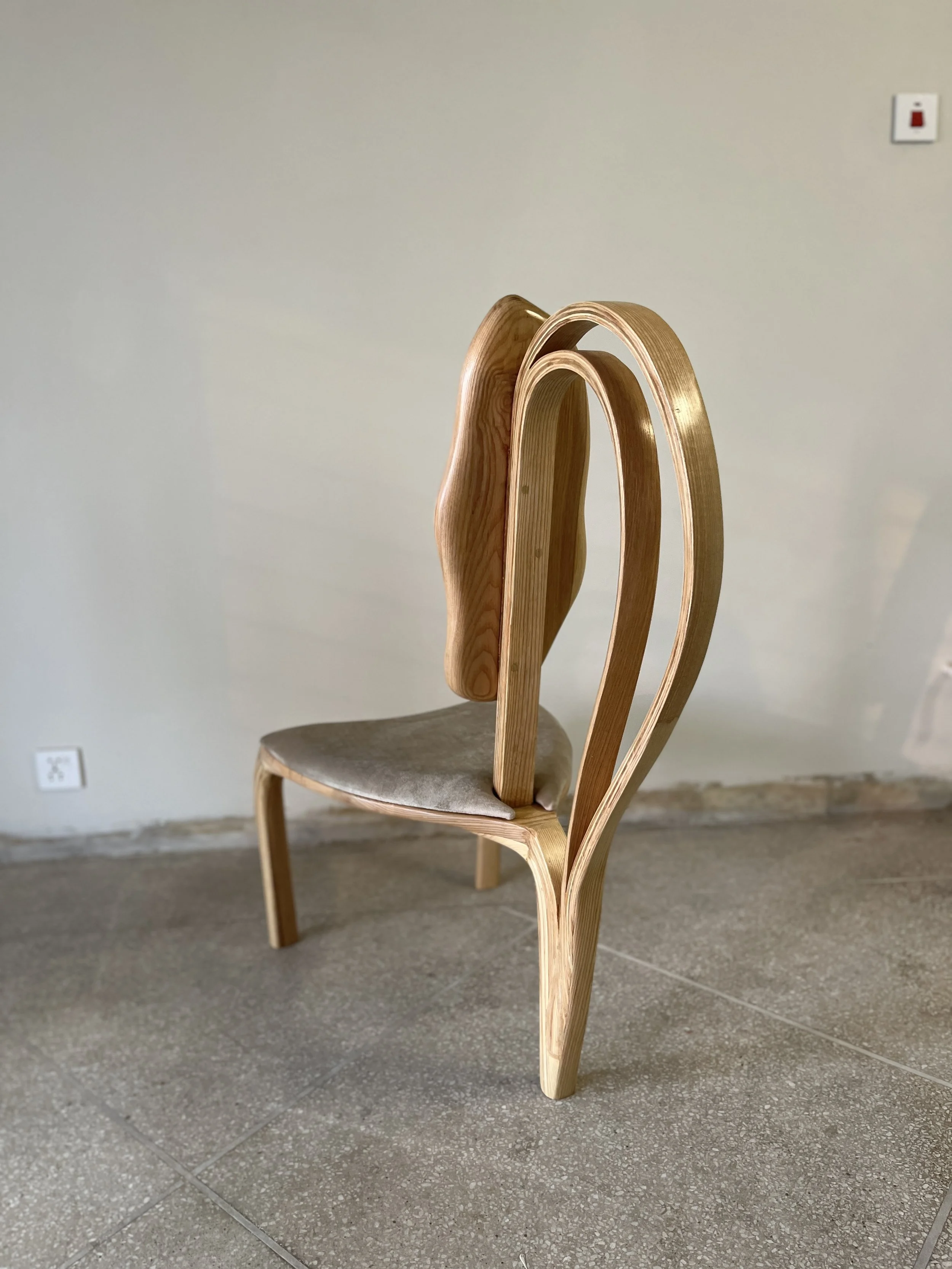 Dining Chair No.1 - Fluentum Series 5.jpg