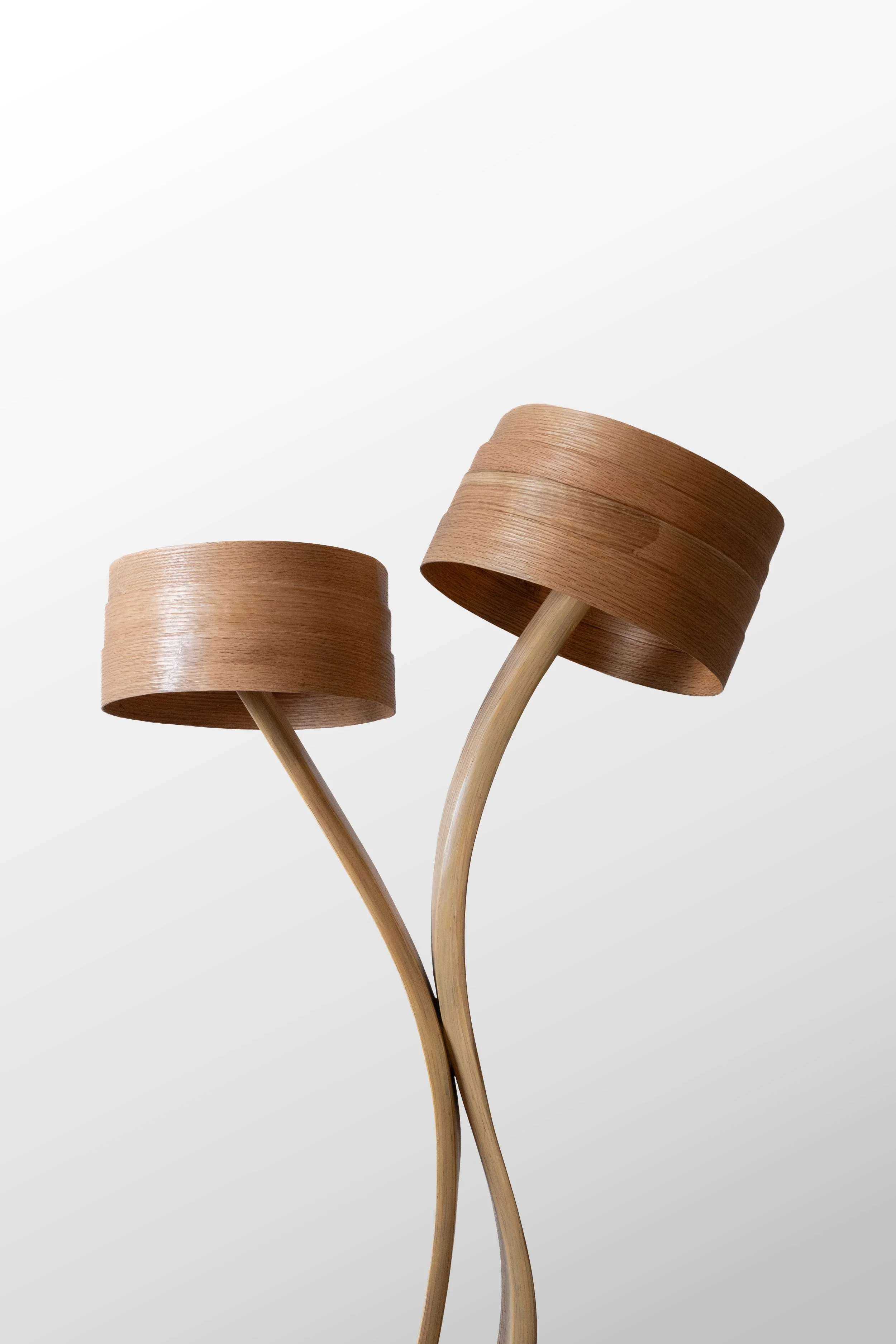 Table Lamp No.6 - Vrksa Series 2.jpg