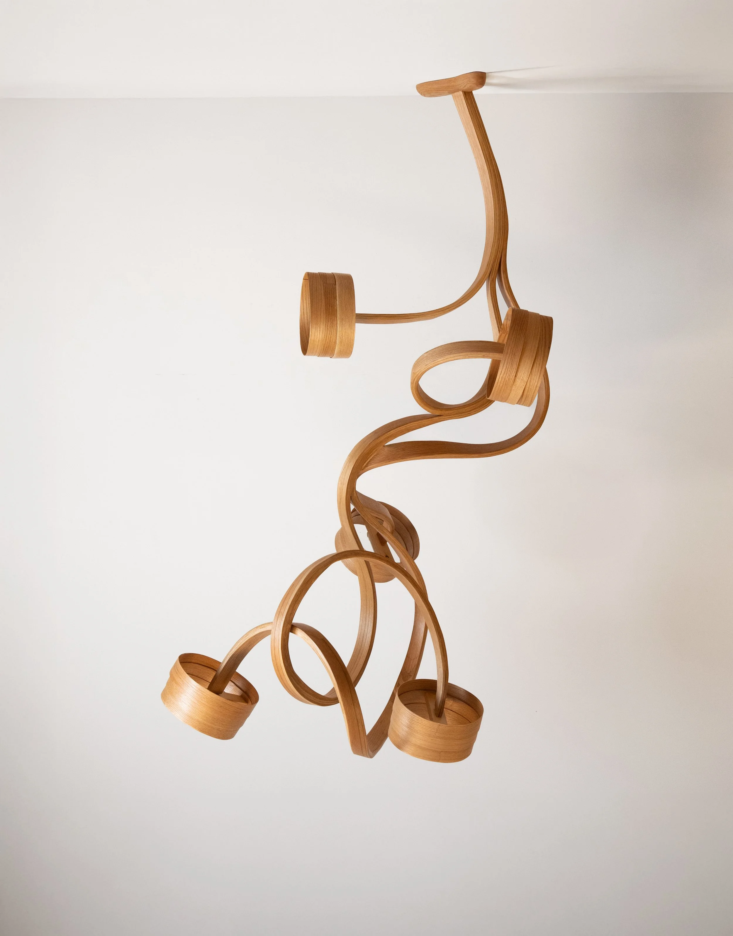 Chandelier No.9 Vrksa Series 1.jpg