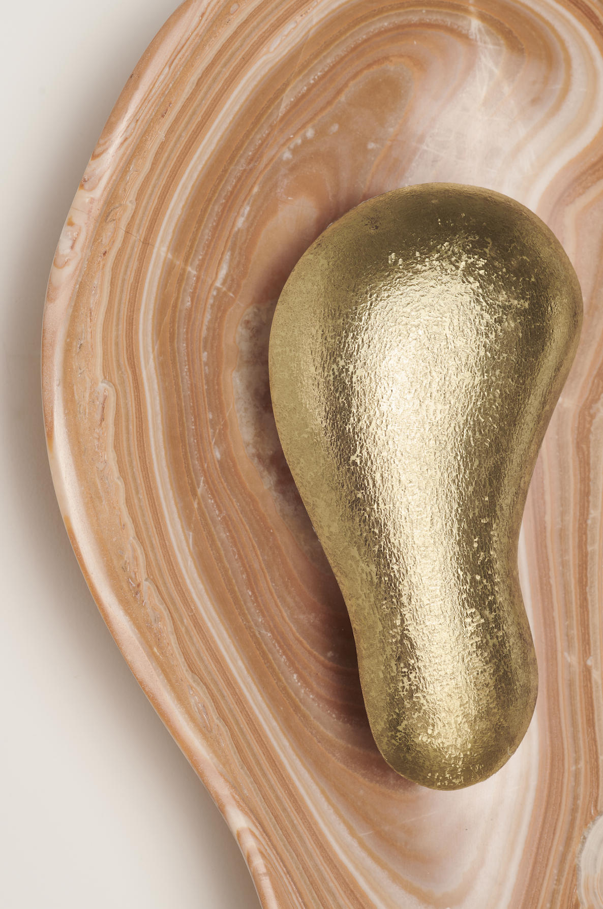 Oyster Orange Close Up.png