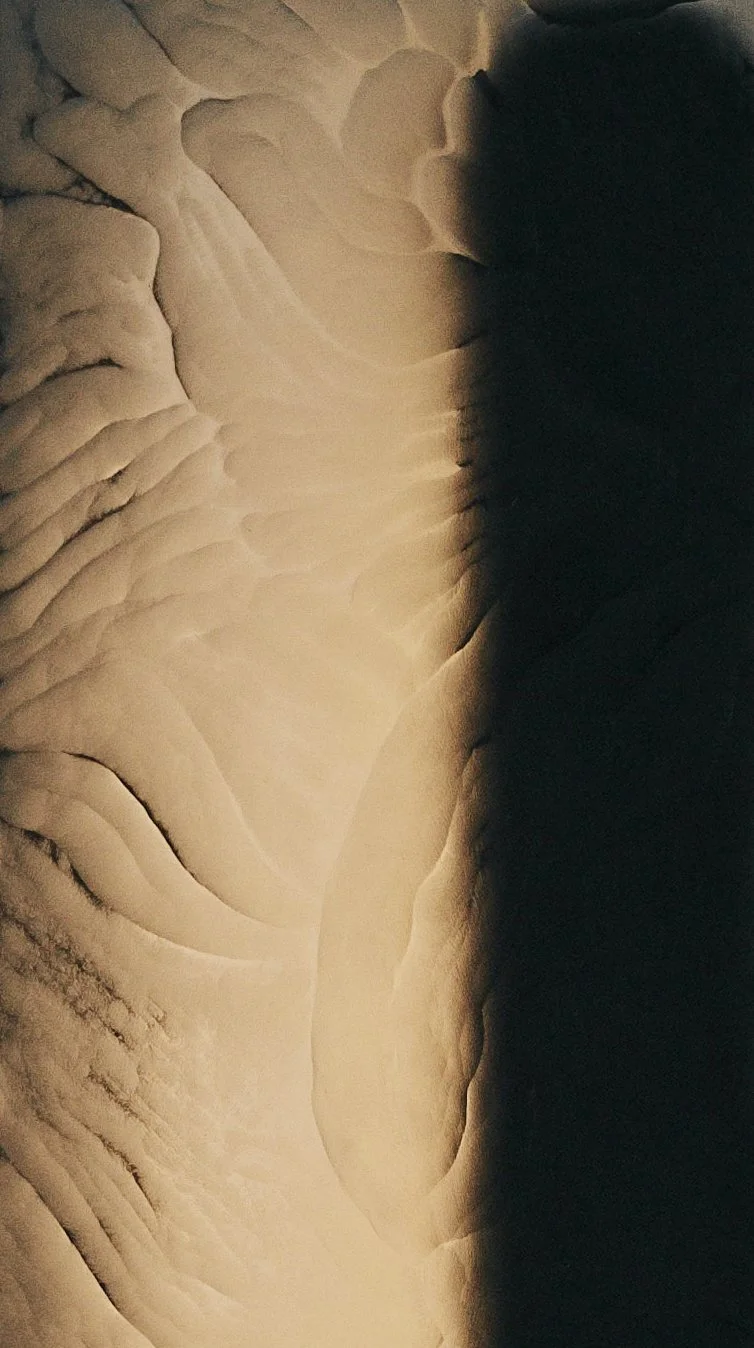 detail.jpg