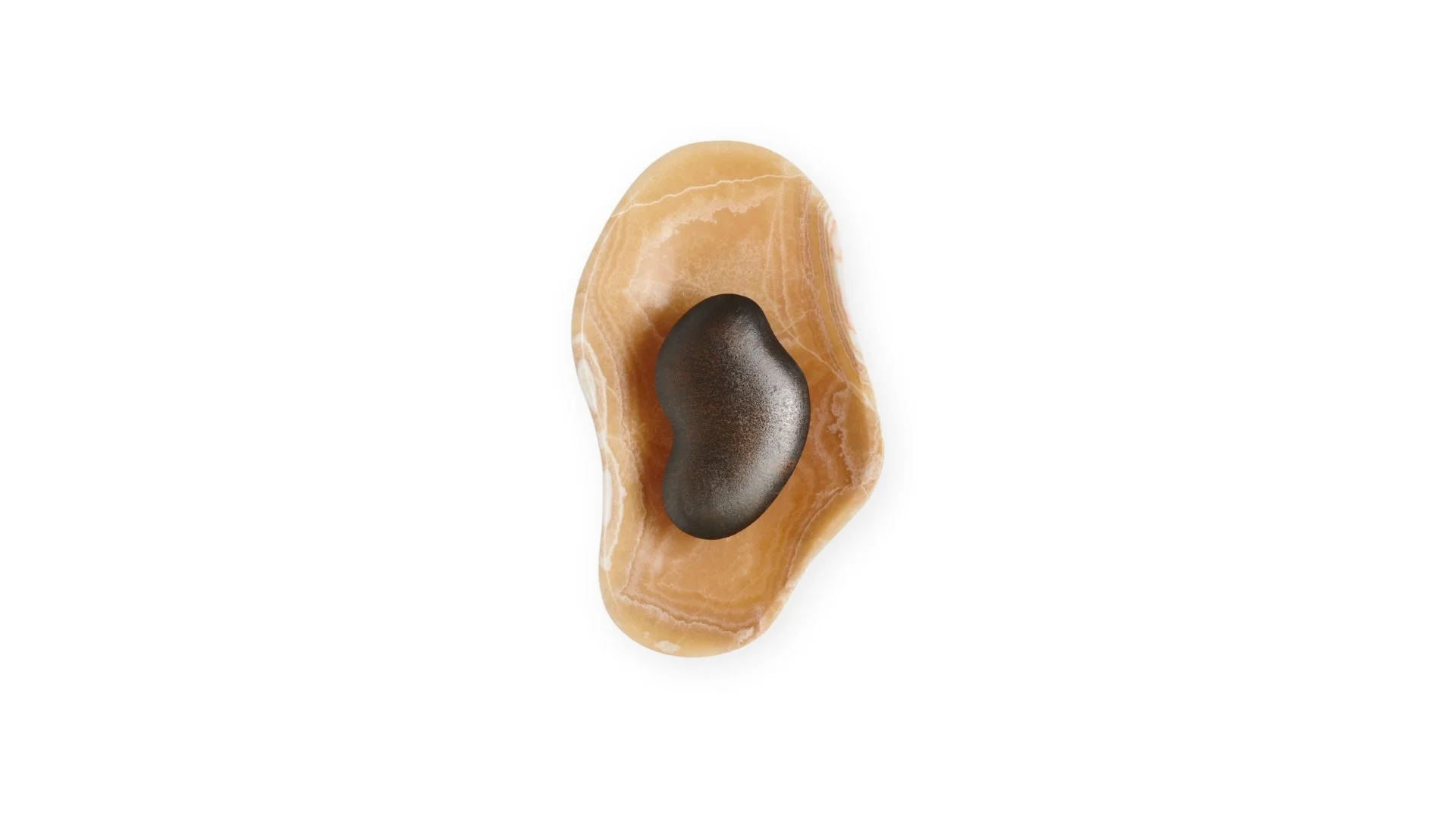 Oyster Yellow A-B.jpg