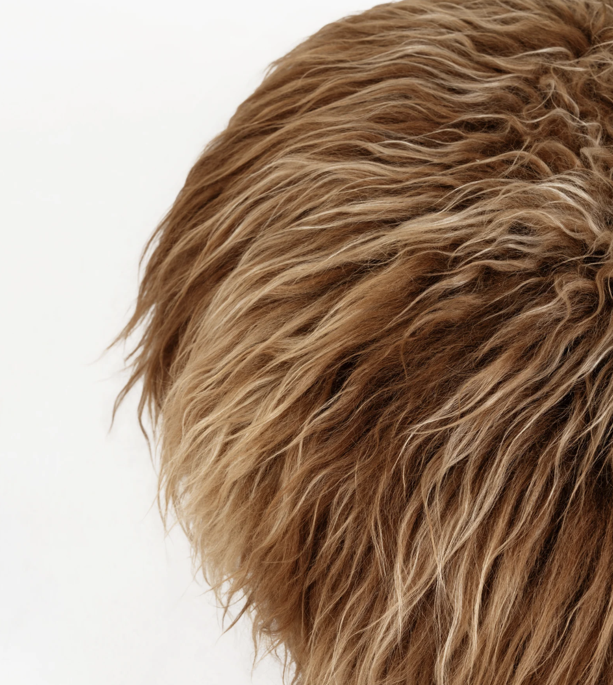 El Topo - Natural 4.png