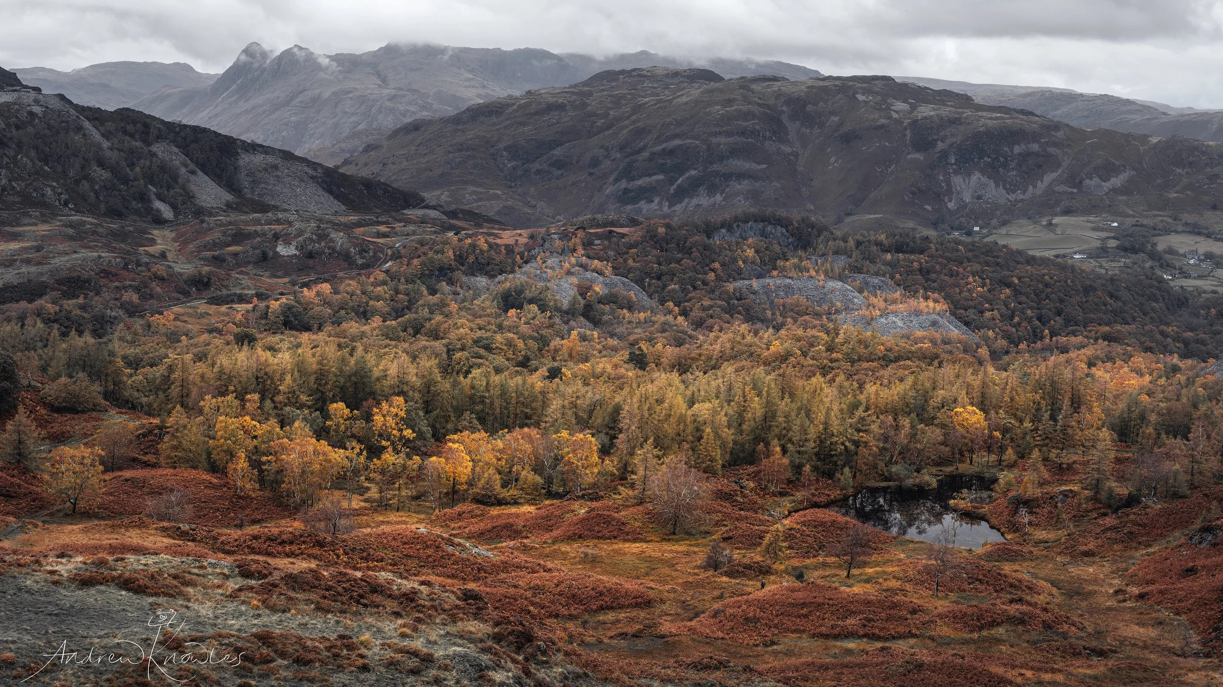 Hodge Close Quarry from Holme Fell