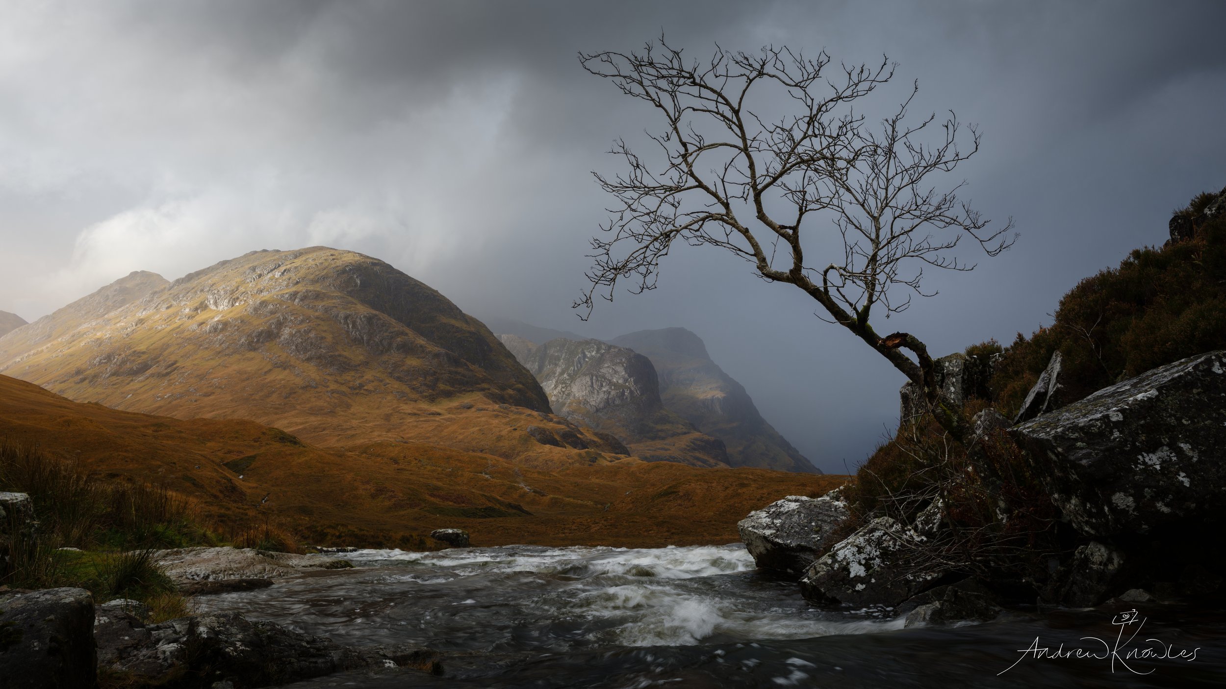 Moody Glencoe