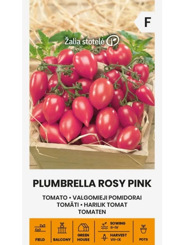 Fröpaket Paraplyformad Plommontomat