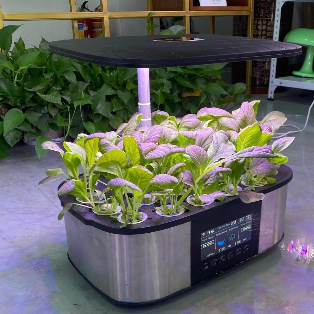 Sidovy av HydroPonic Smart IGS-60
