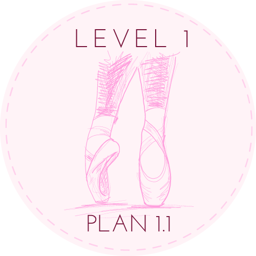 Beginner Level Lesson Plan 1.1