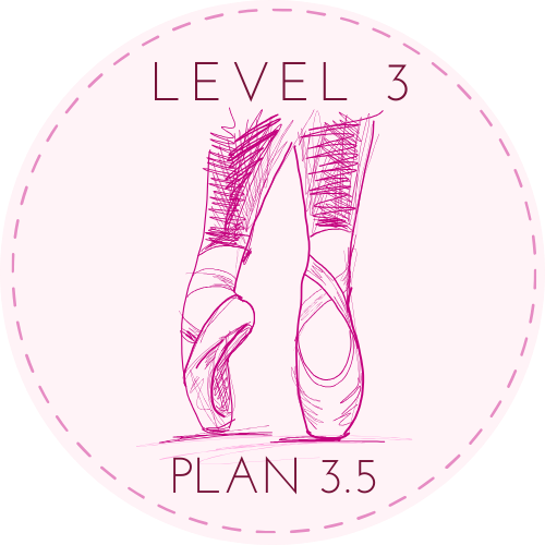 Intermediate Level Lesson Plan 3.5