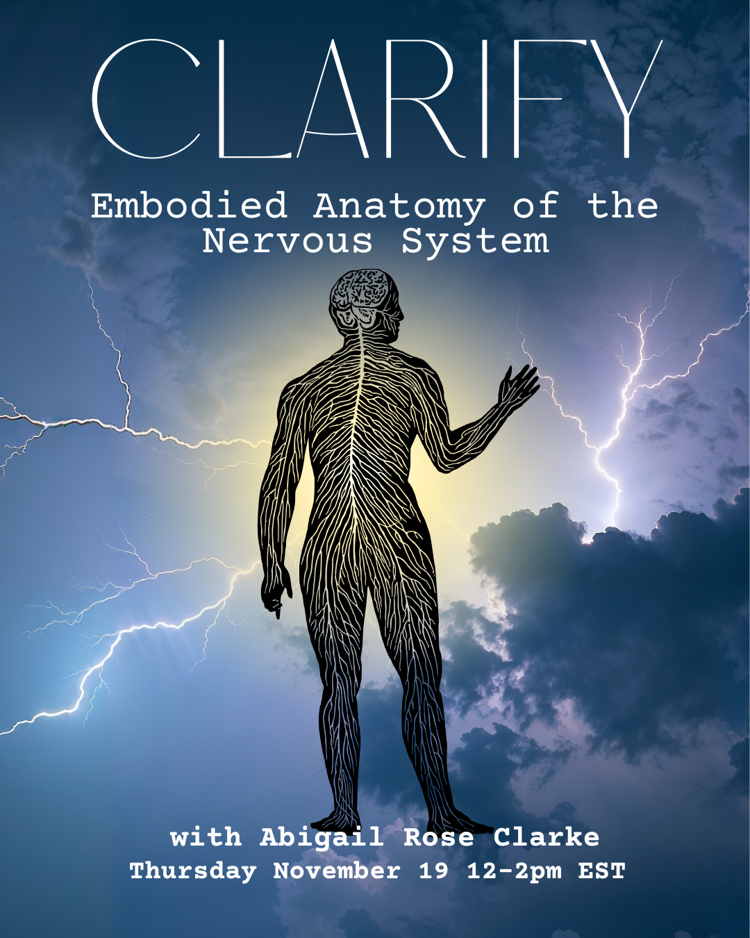 CLARIFY: embodied anatomy of the nervous system