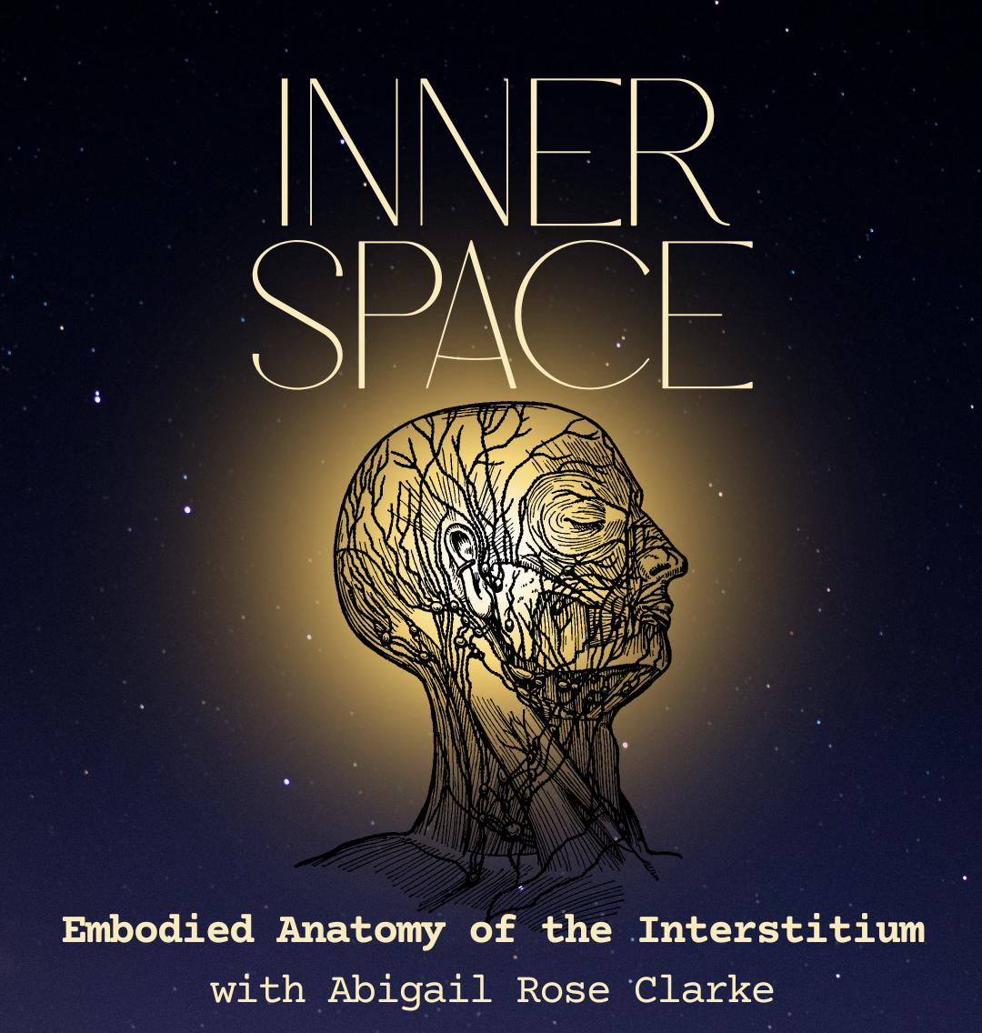 INNER SPACE: Embodied Anatomy of the Interstitium