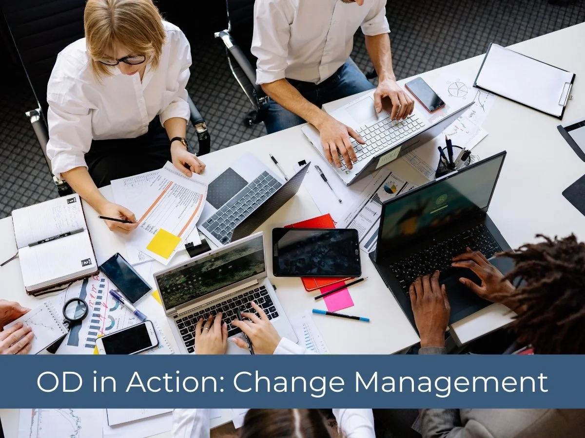 OD in Action: Change Management