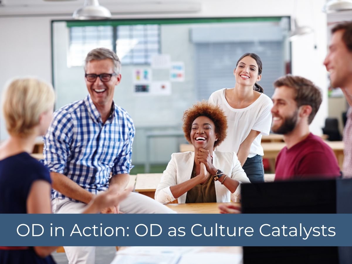OD in Action: OD as Culture Catalysts