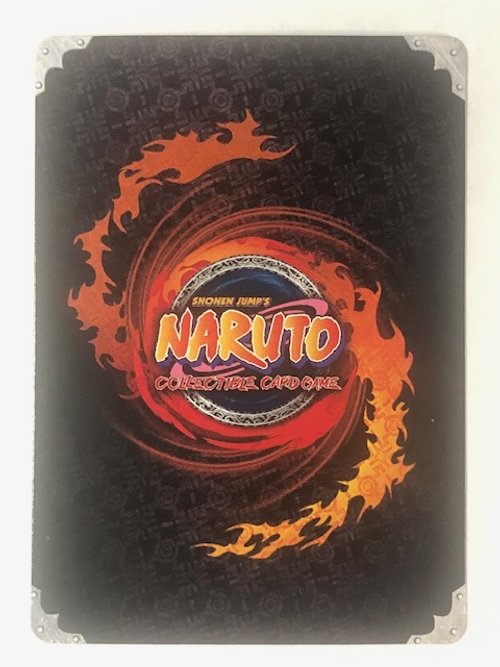 IMG_9058 - Naruto.jpg