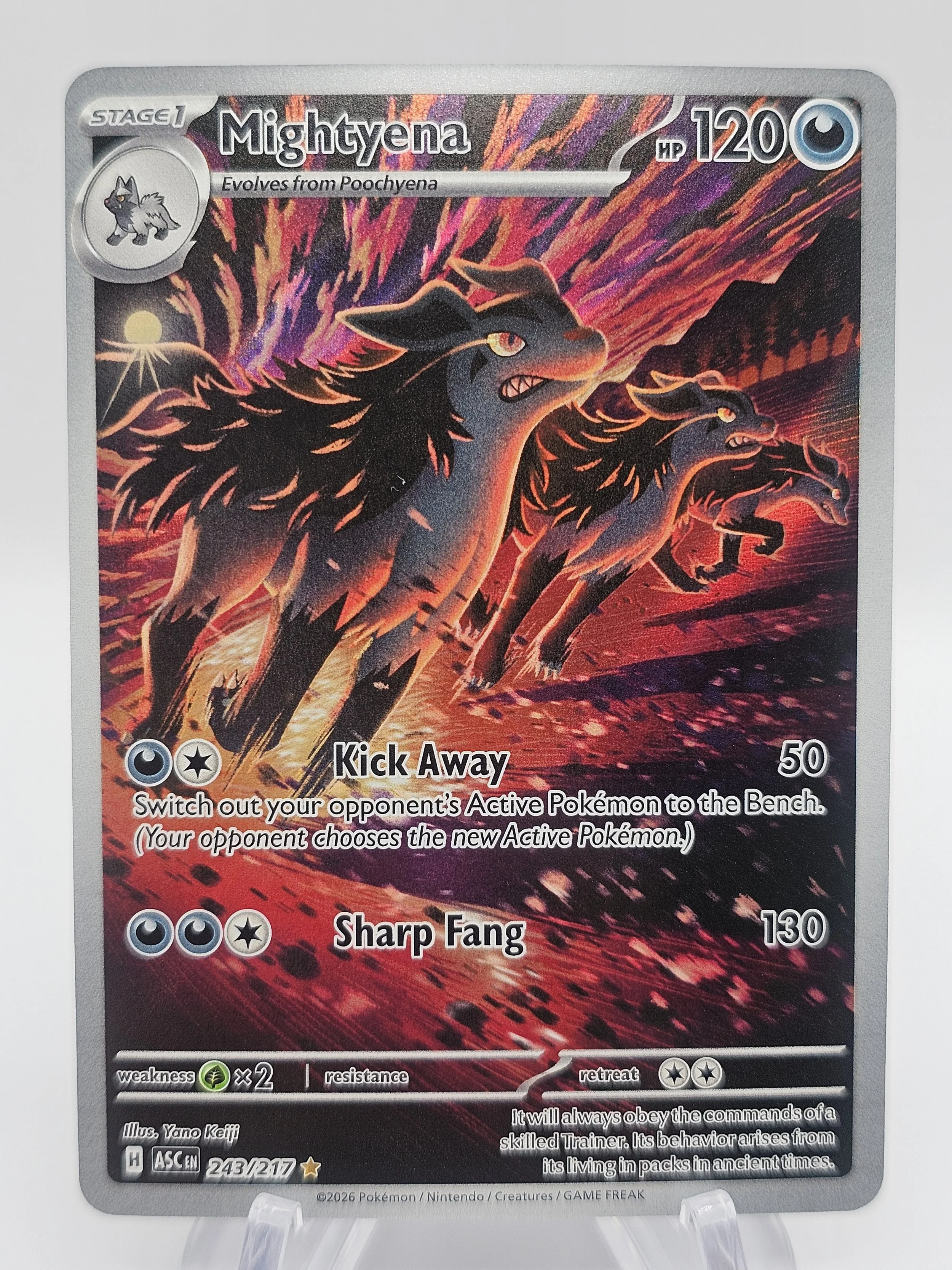 Mightyena 243.jpg
