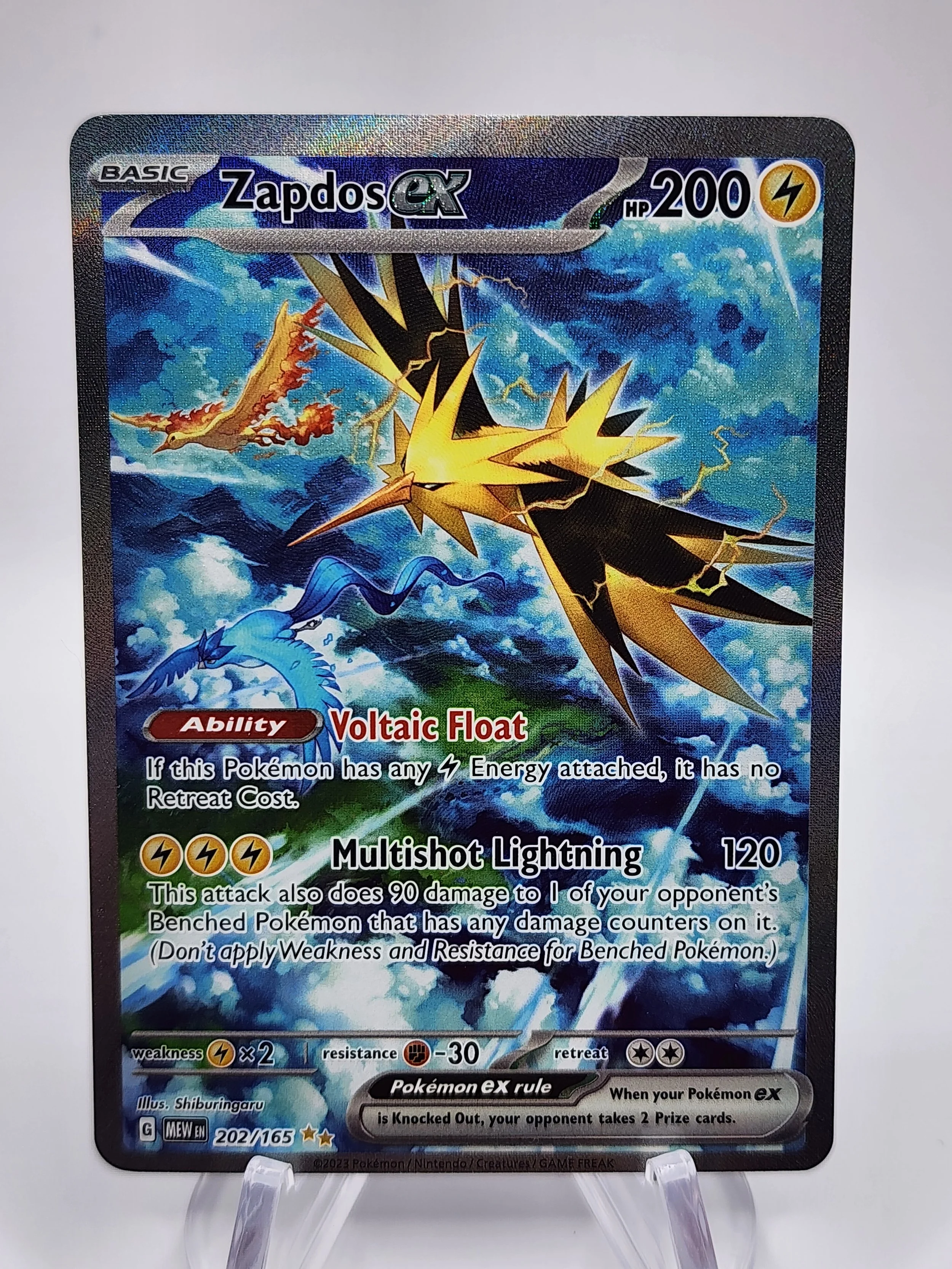 Zapdos Ex 202/165