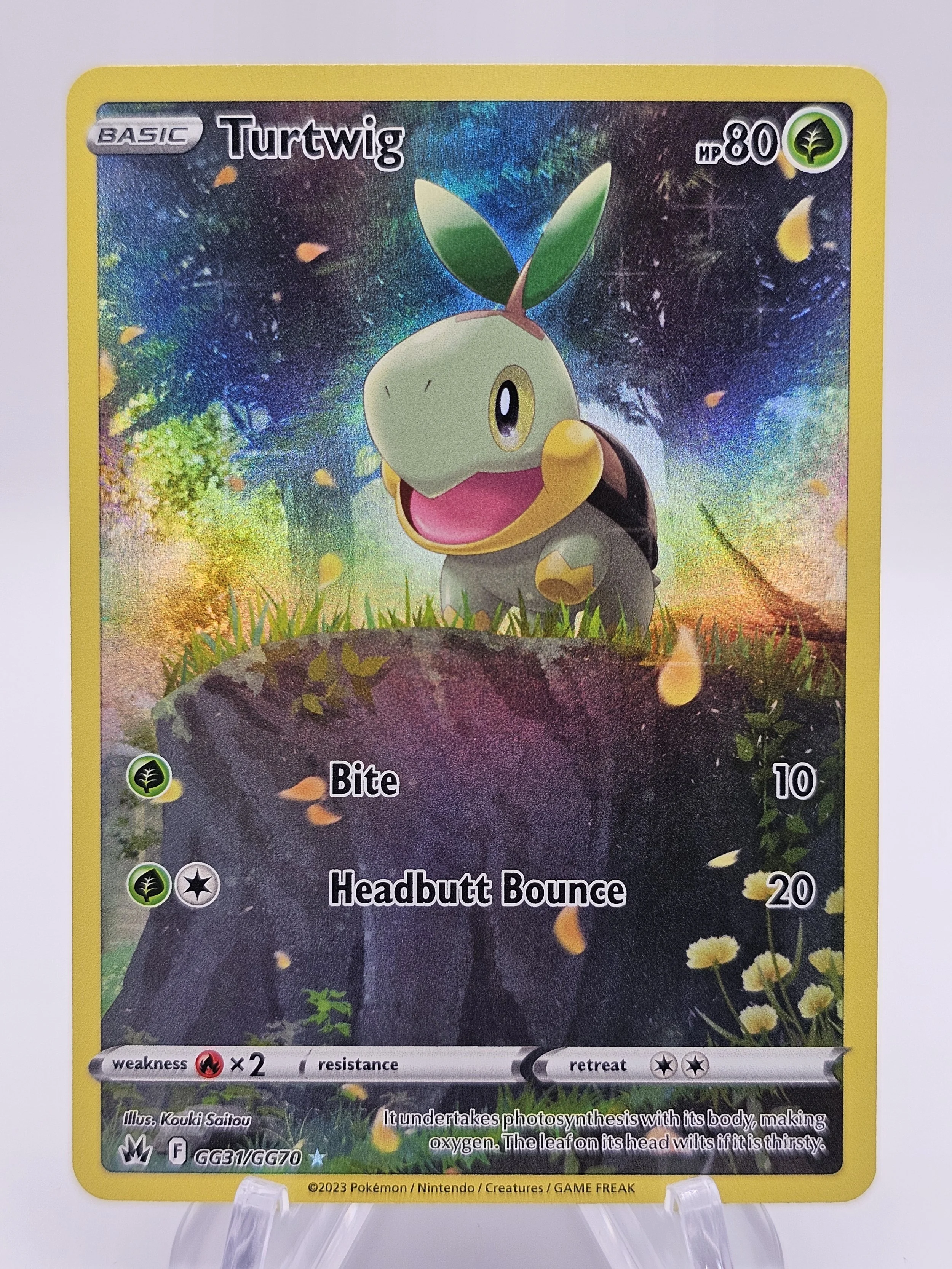 Turtwig GG31/GG70