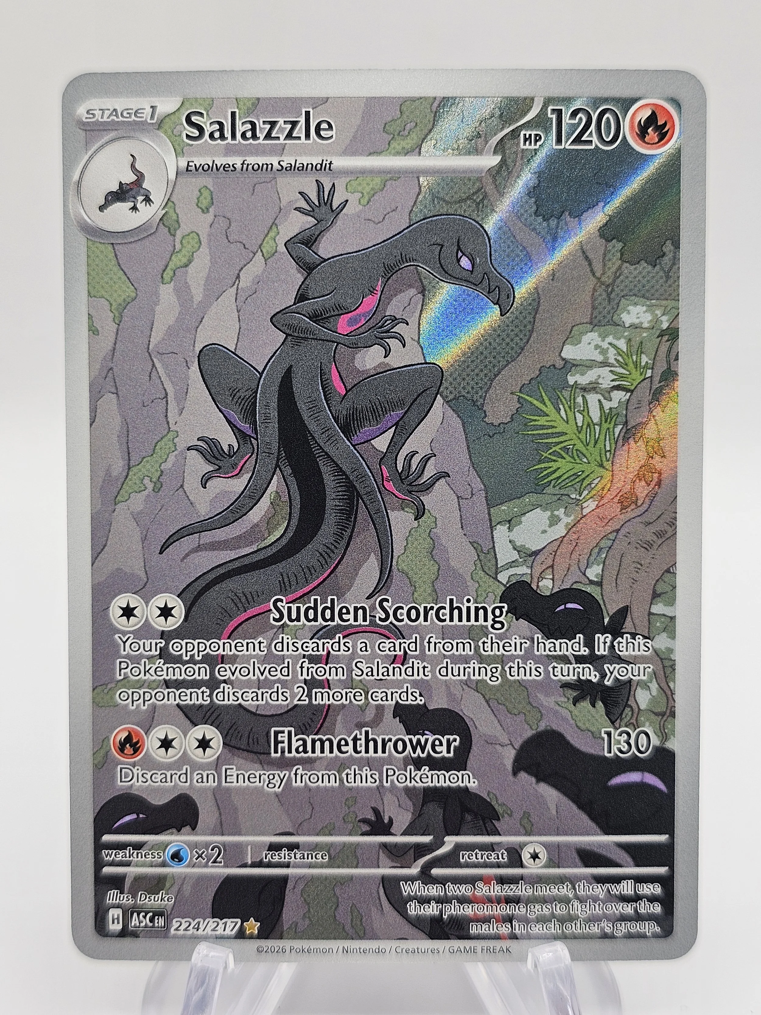Salazzle 224/217