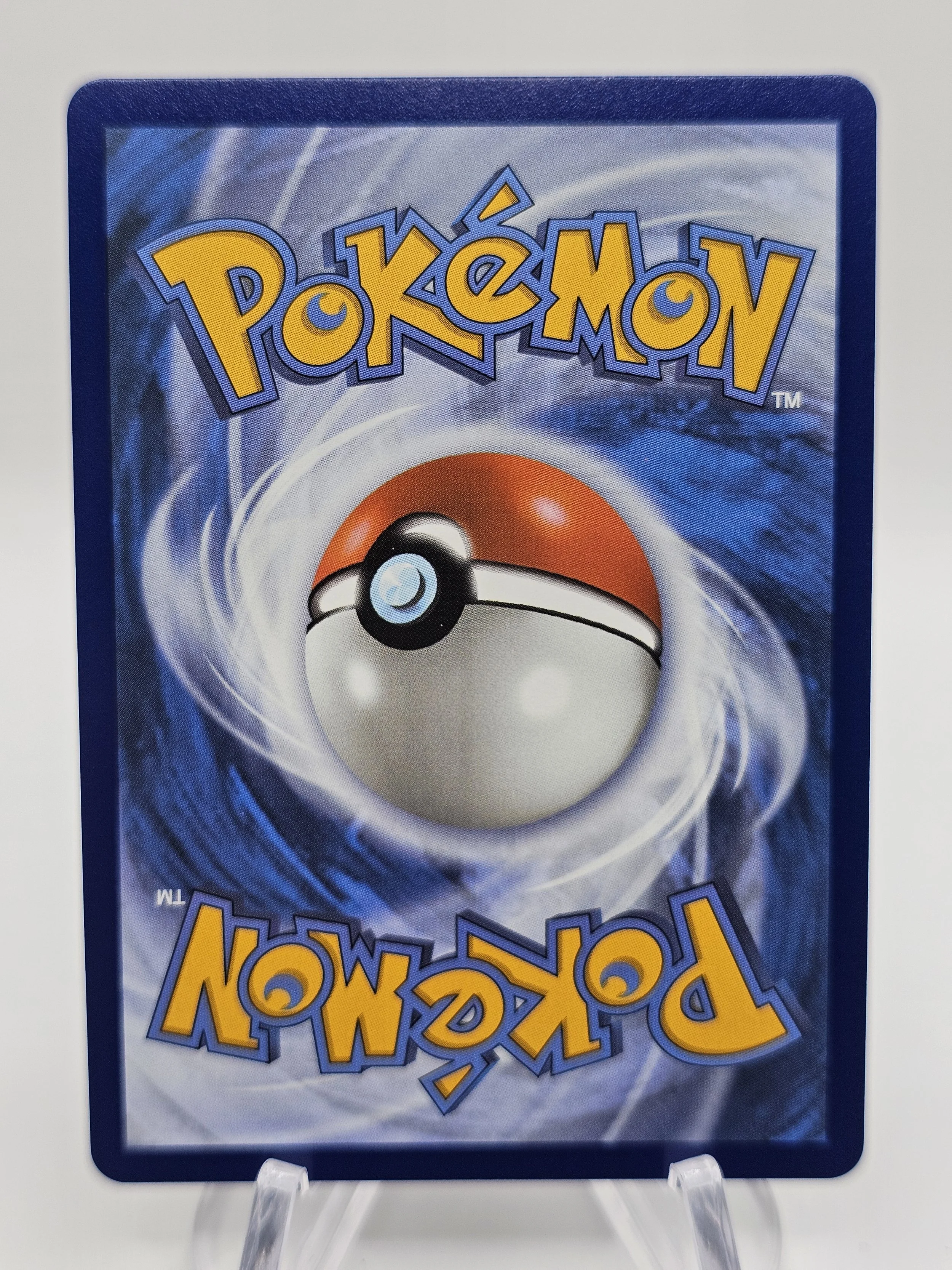 salazzle 224 new back.jpg