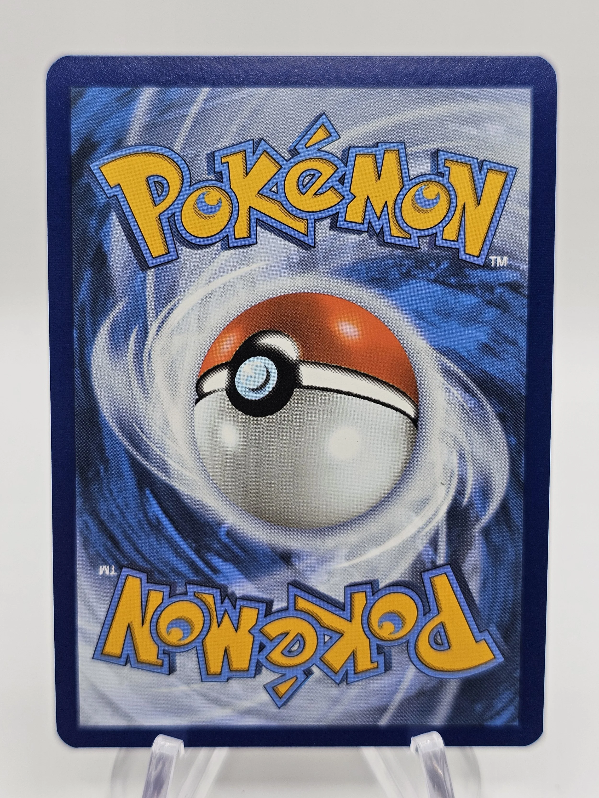 N's zorua back.jpg
