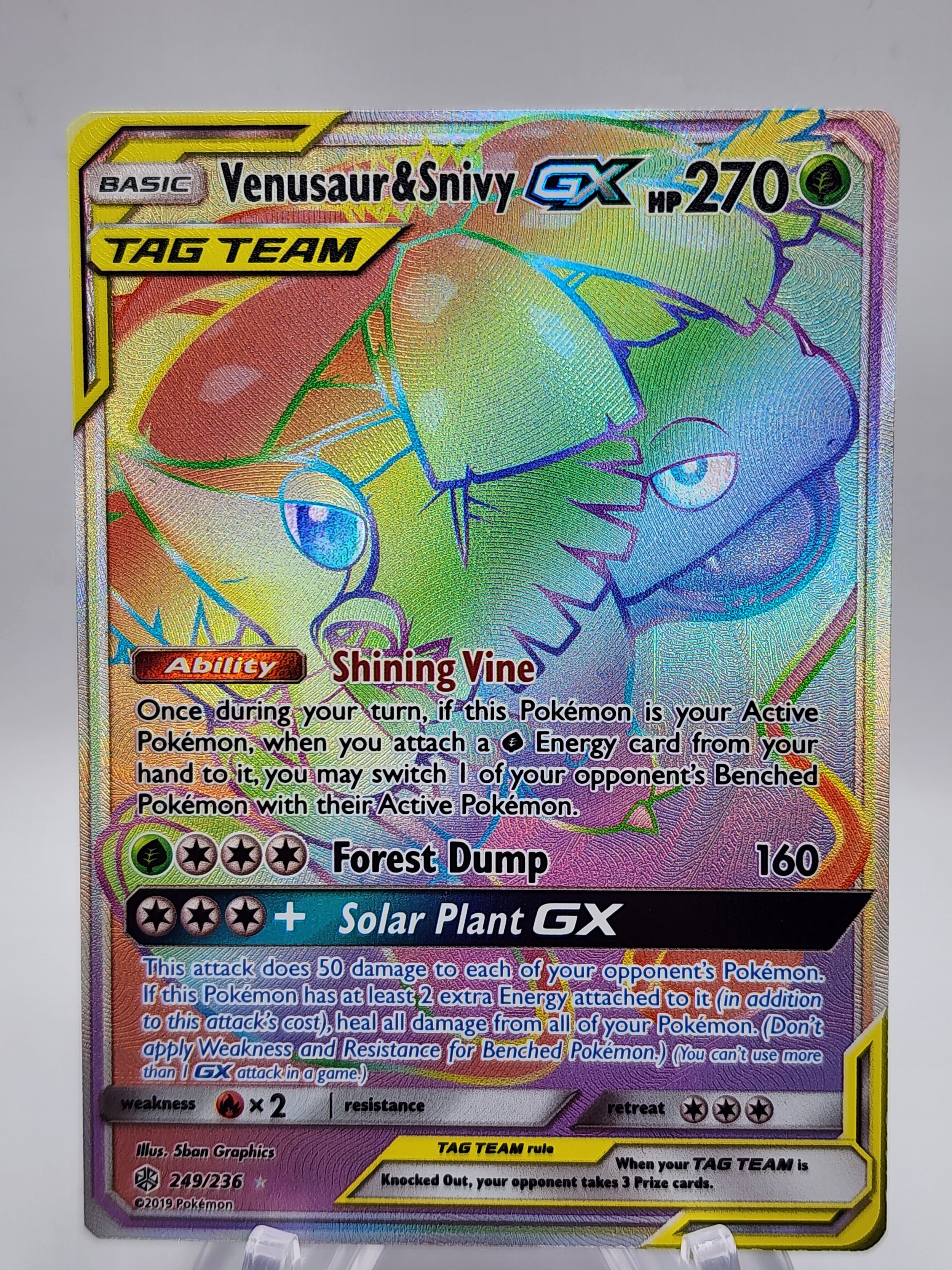 venusaur snivy front.jpg