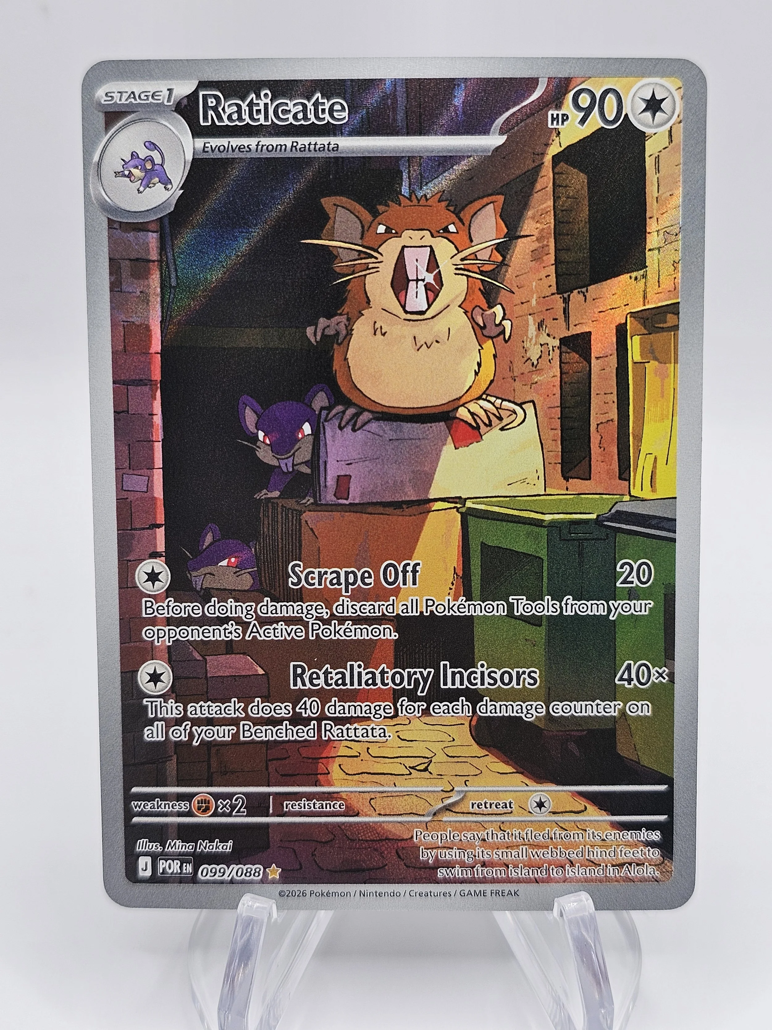 Raticate 099.jpg