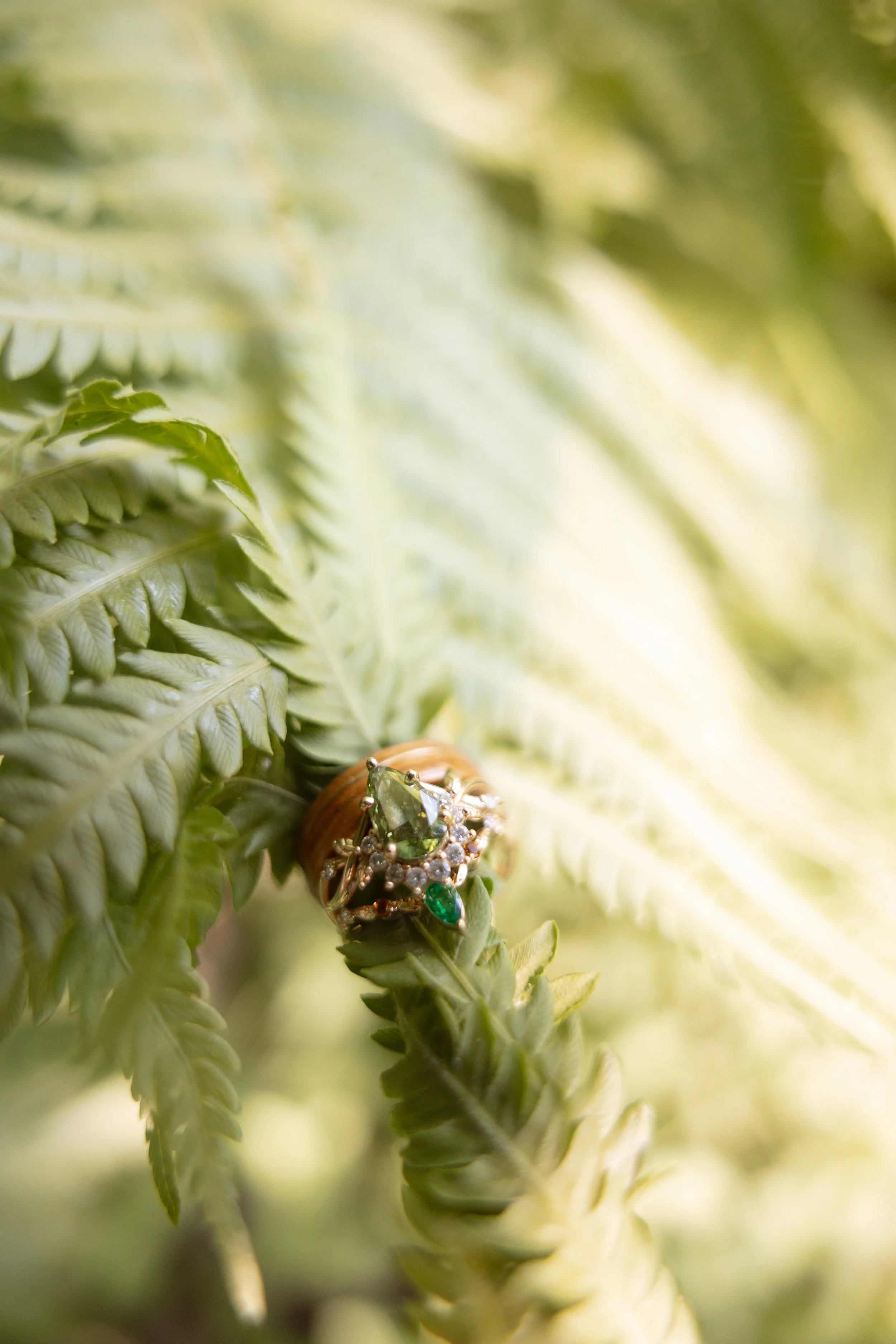 H &amp; E | Keweenaw Wedding | Previews