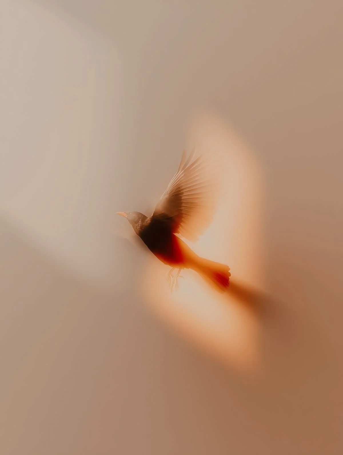 d78420d46ff2b1c5afe04348631f5be8.jpg
