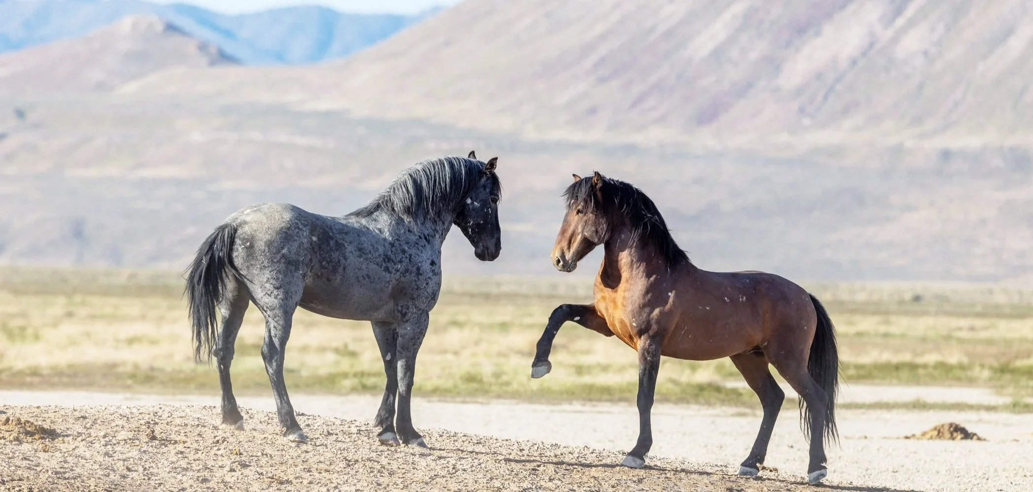 Coming Home to Resilience - Together