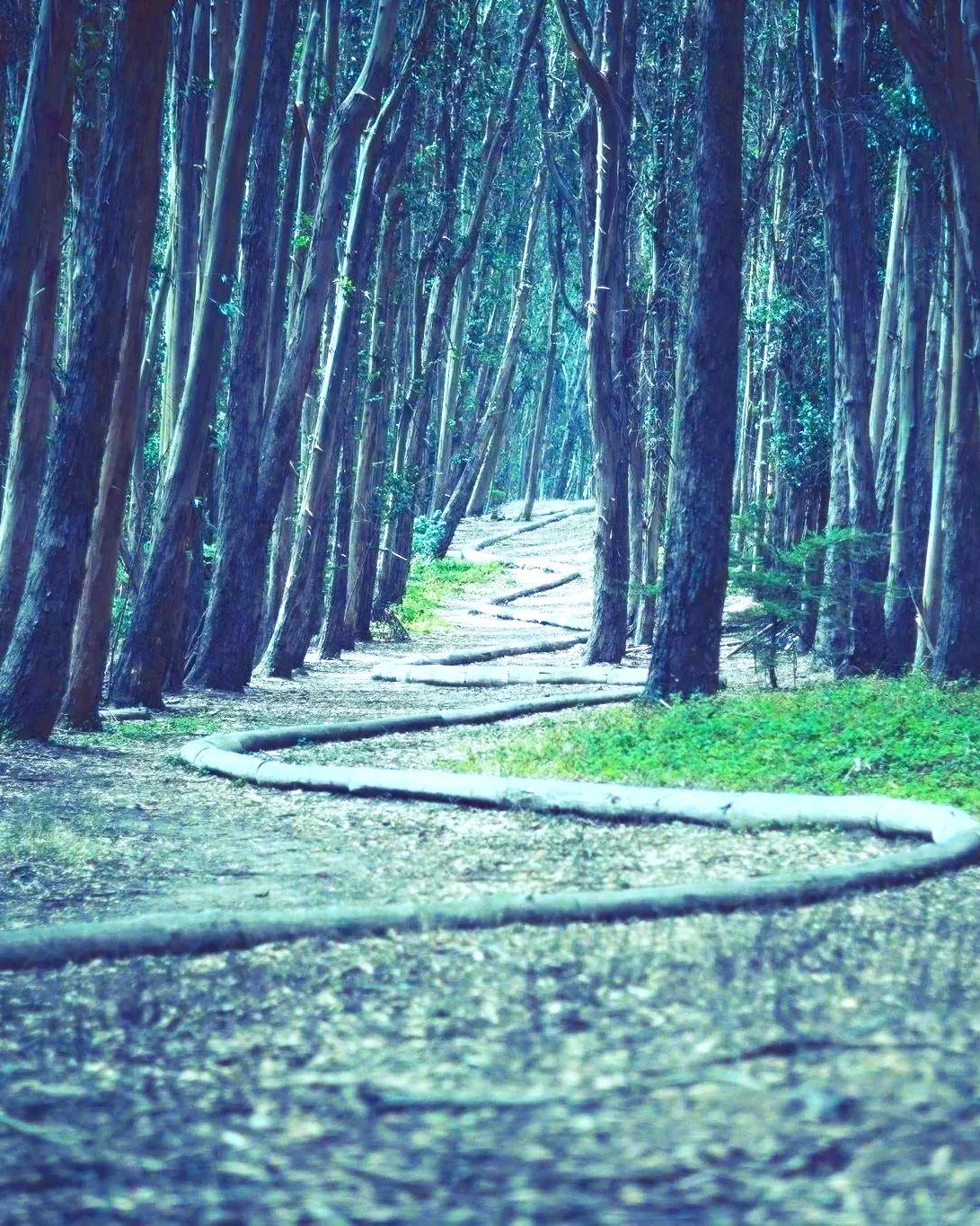 winding path