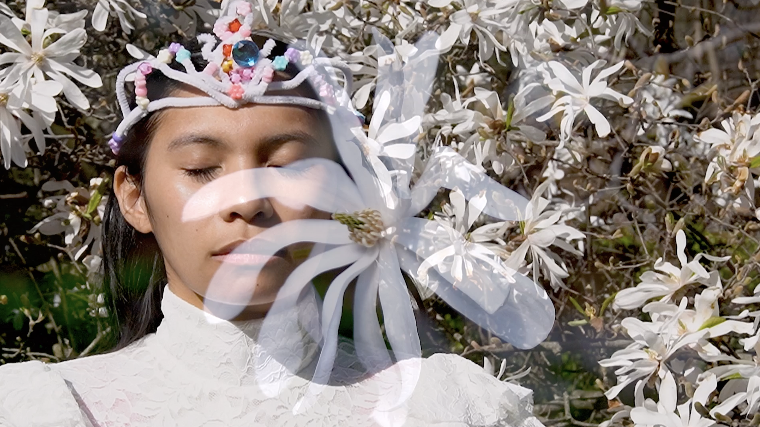 Screenshot 2025-11-14 at 10.22.19 AM.png